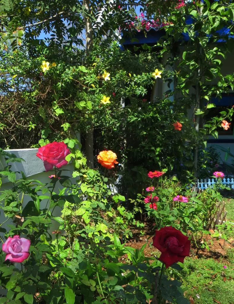 IMG_1765.webp