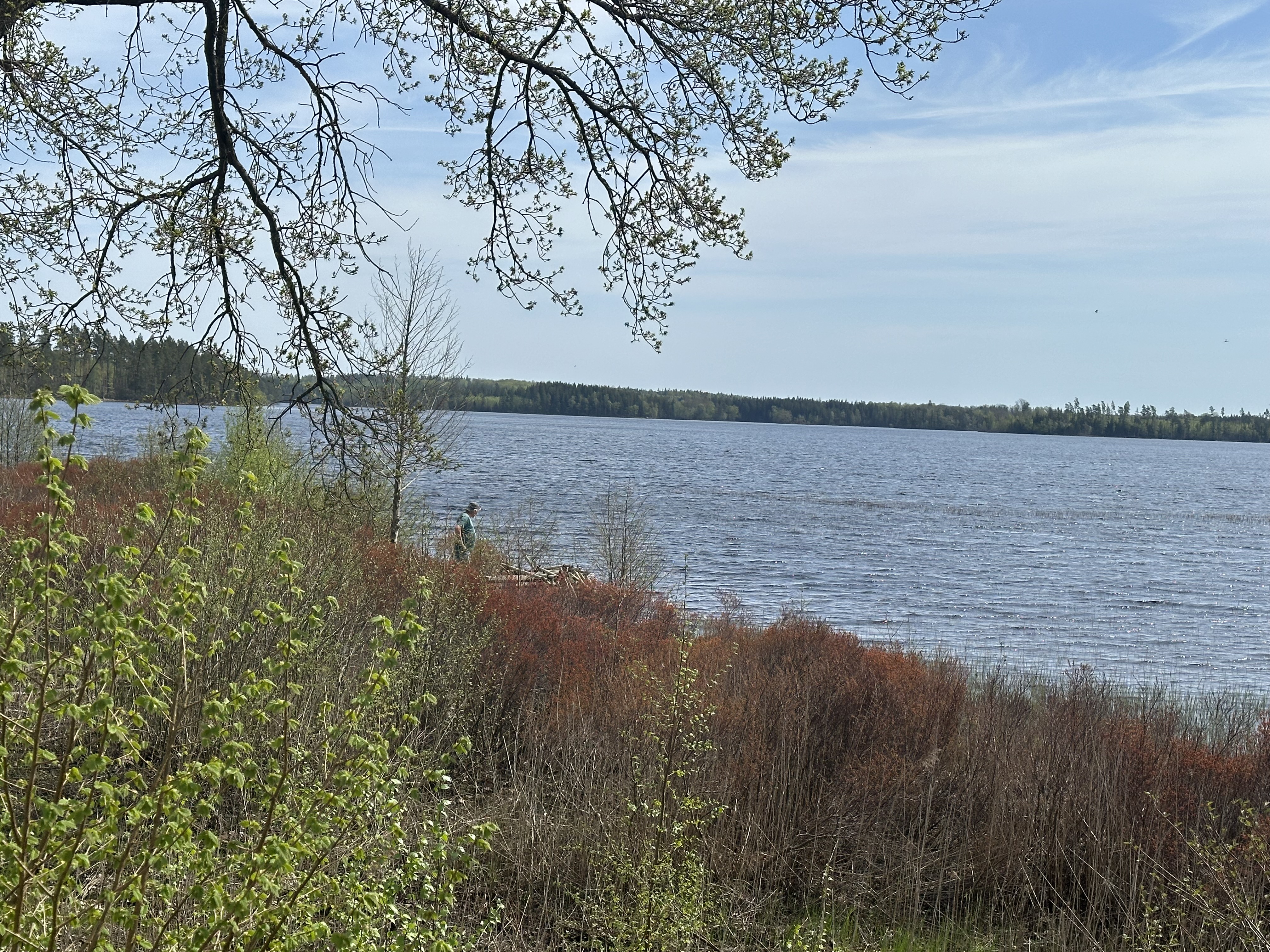 IMG_1859.jpeg