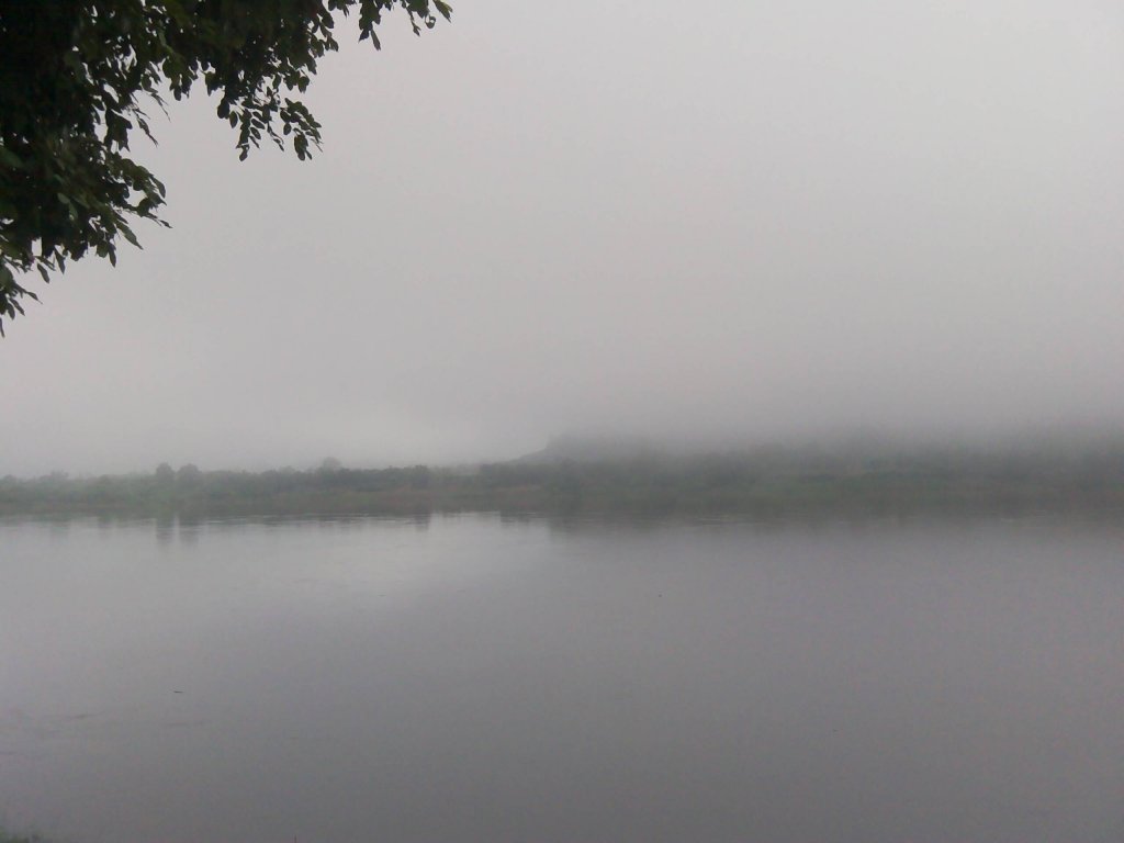 IMG_20141110_081721.jpg