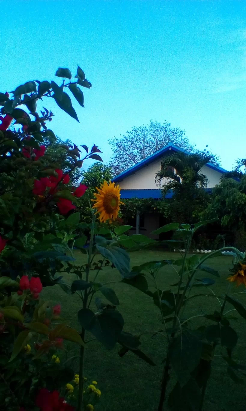 IMG_20161028Home (2).webp