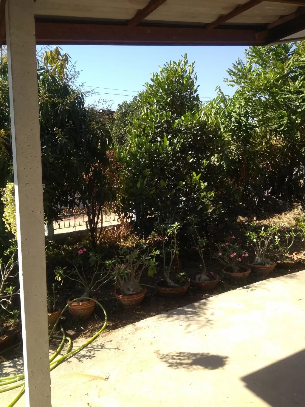 IMG_20180119_101251715.webp