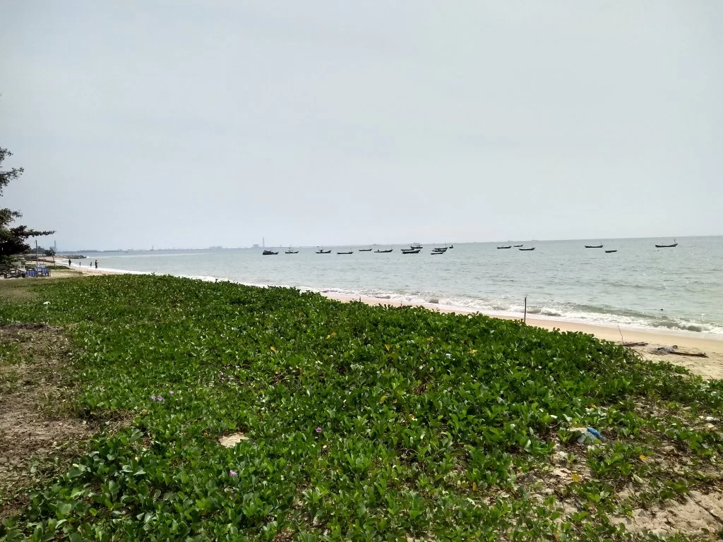 IMG_20180128_112945999_HDR.webp