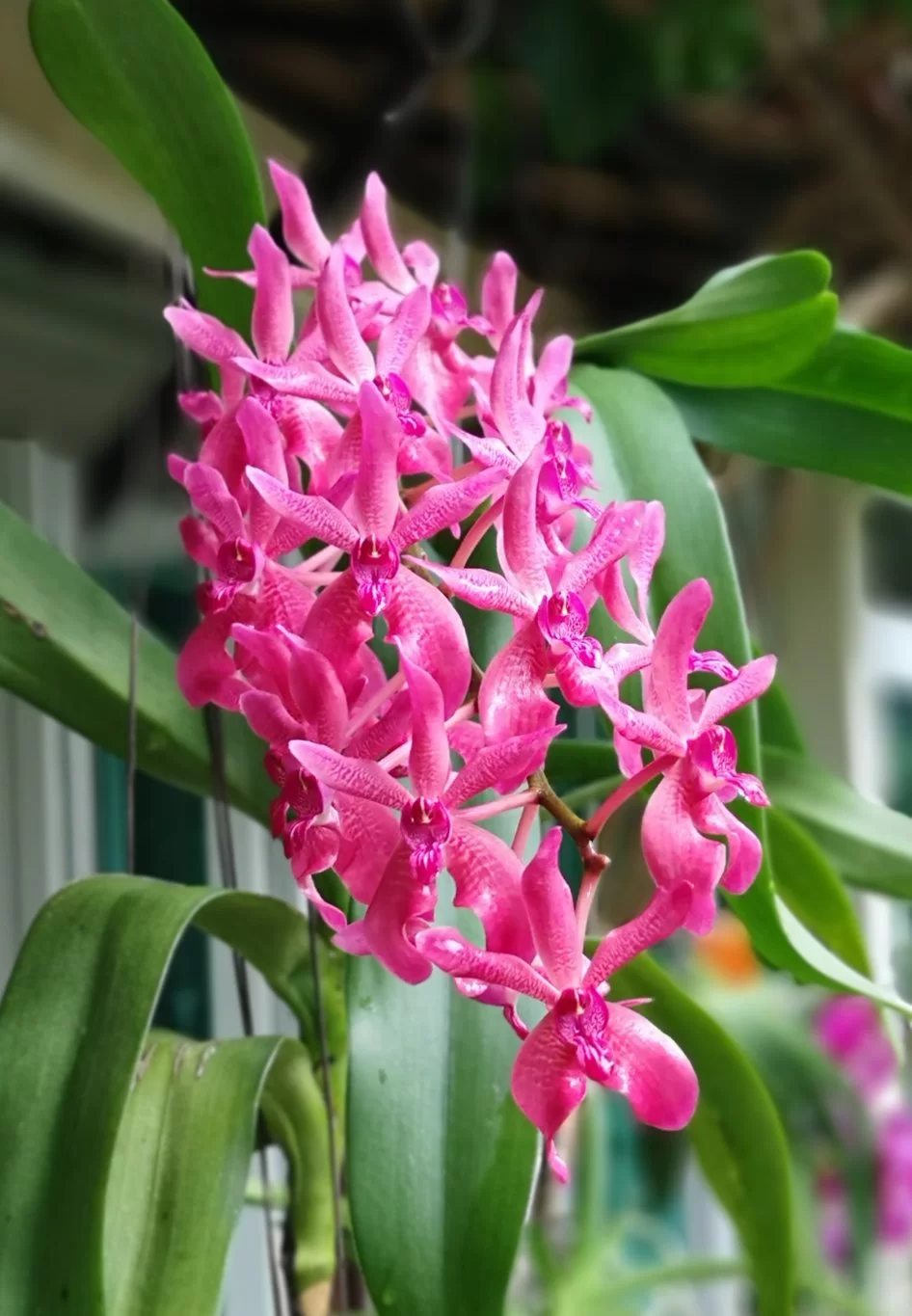 IMG_20181210_145722.webp
