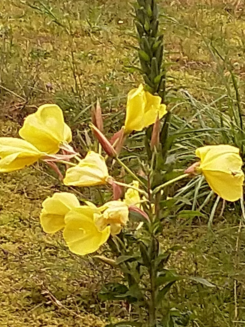 IMG_20190922_081535.jpg