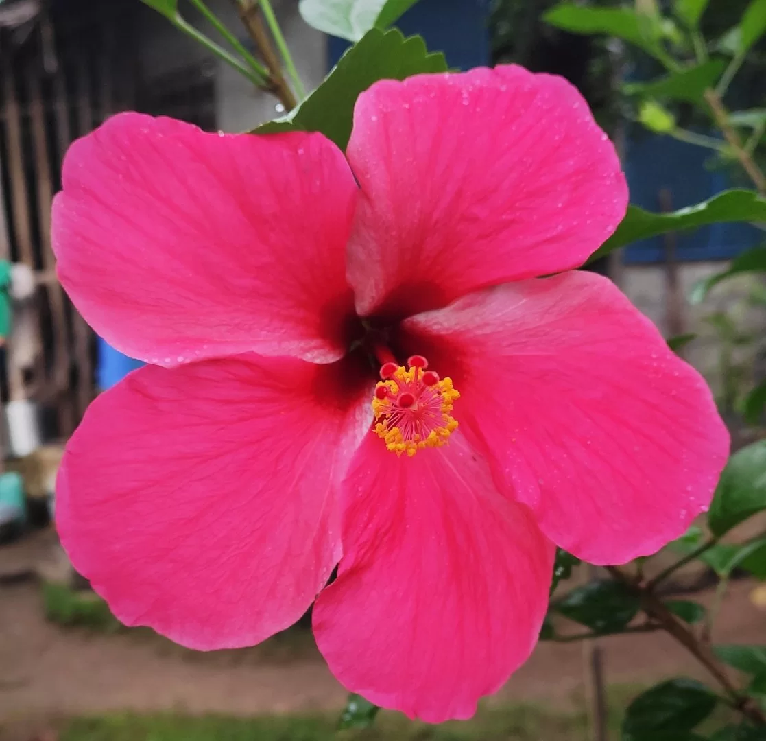 IMG_20200920_145451.webp