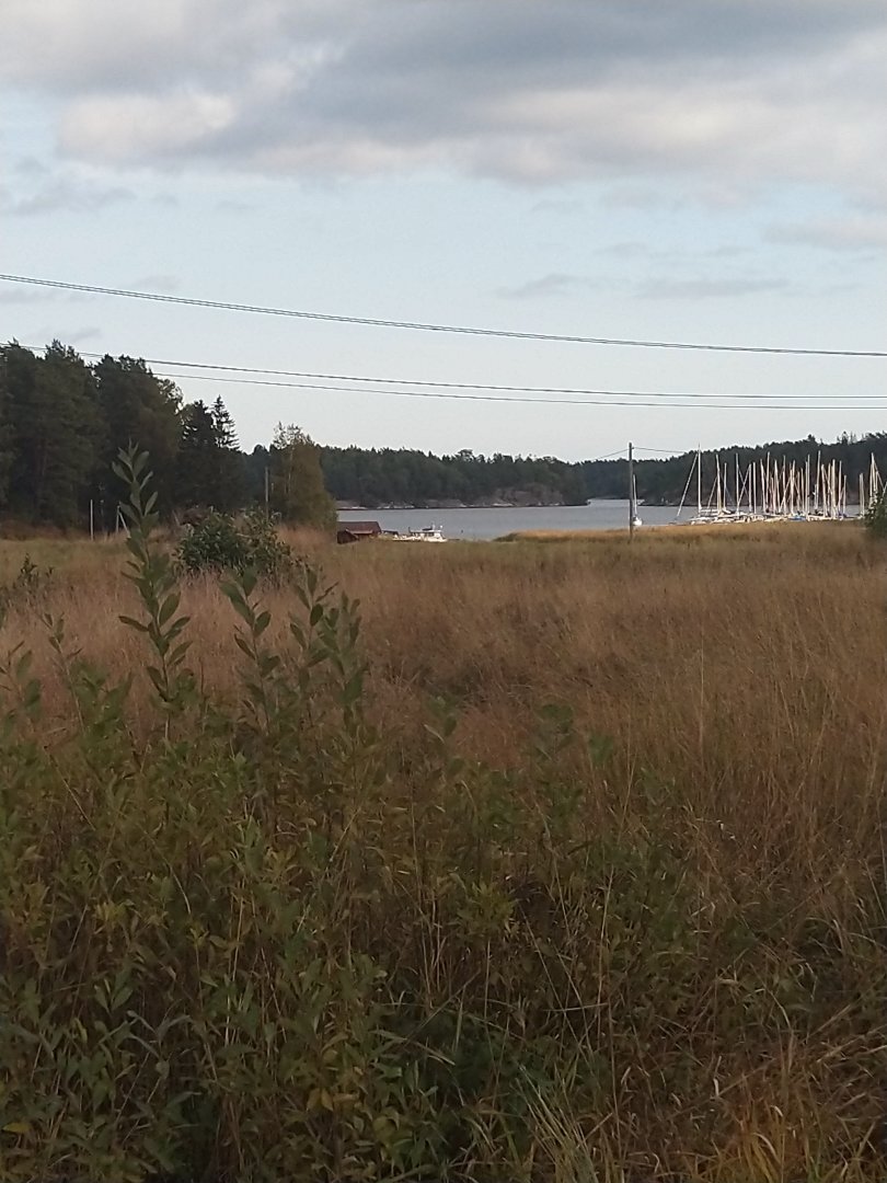 IMG_20200920_152945.jpg