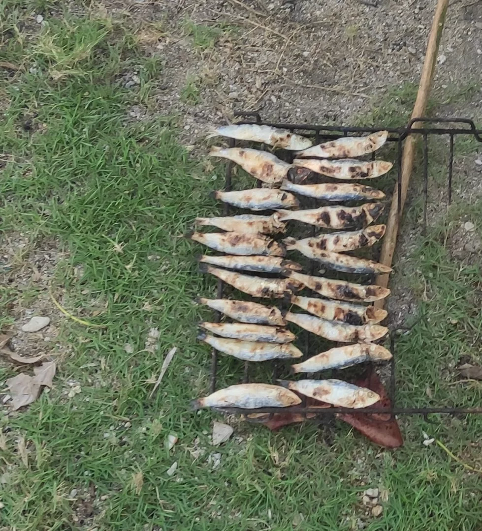 IMG_20201003_121023.webp
