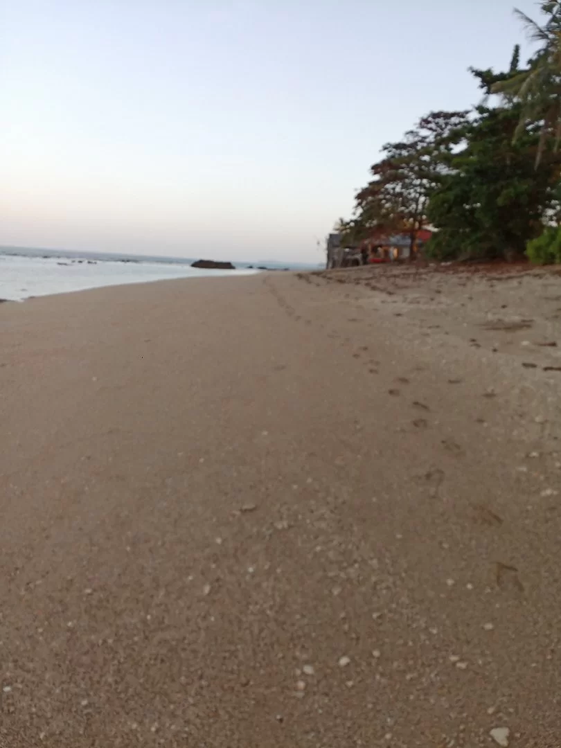 IMG_20210120_070912.webp