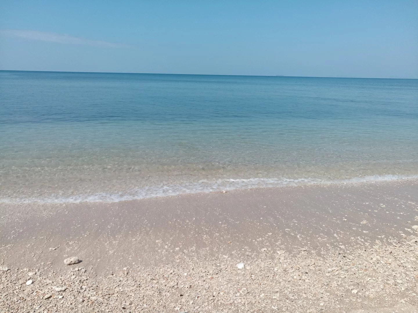 IMG_20210213_104051.jpg