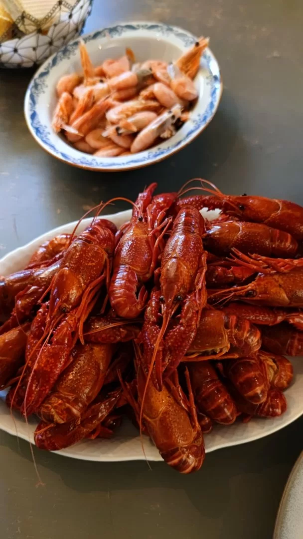 IMG_20210828_190340.webp
