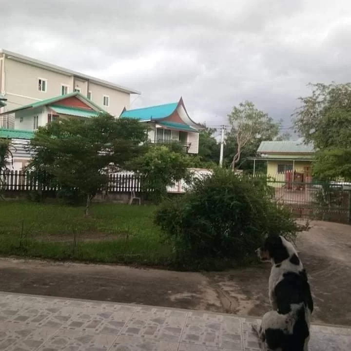 IMG_20211231_103225_462.webp