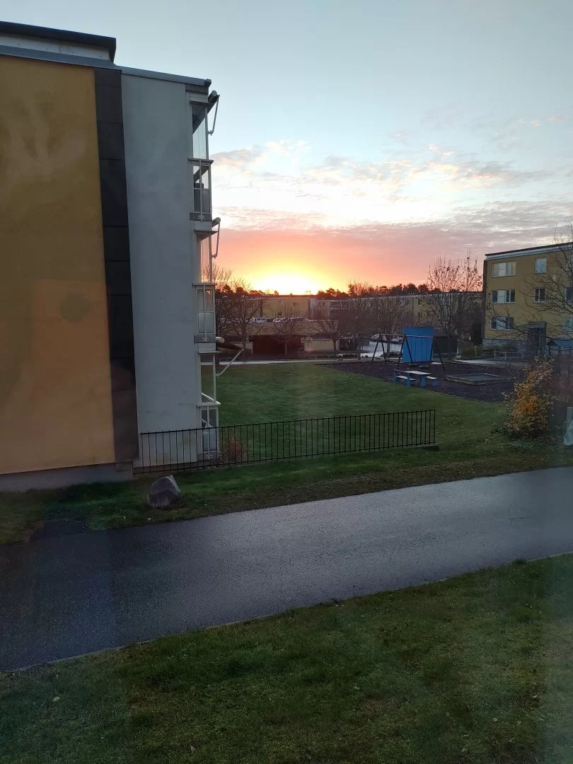 IMG_20221106_072719_hdr.webp
