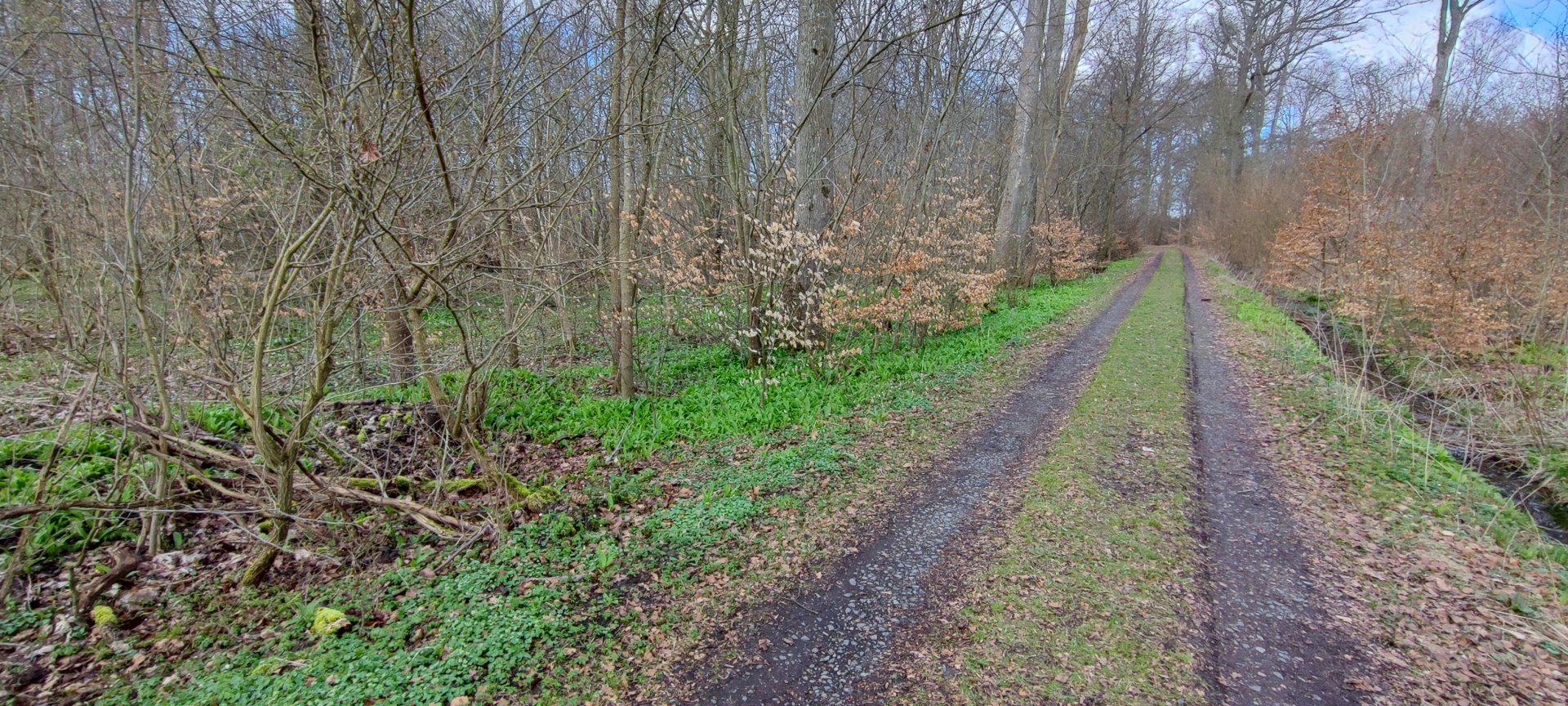 IMG_20230412_110342.jpg