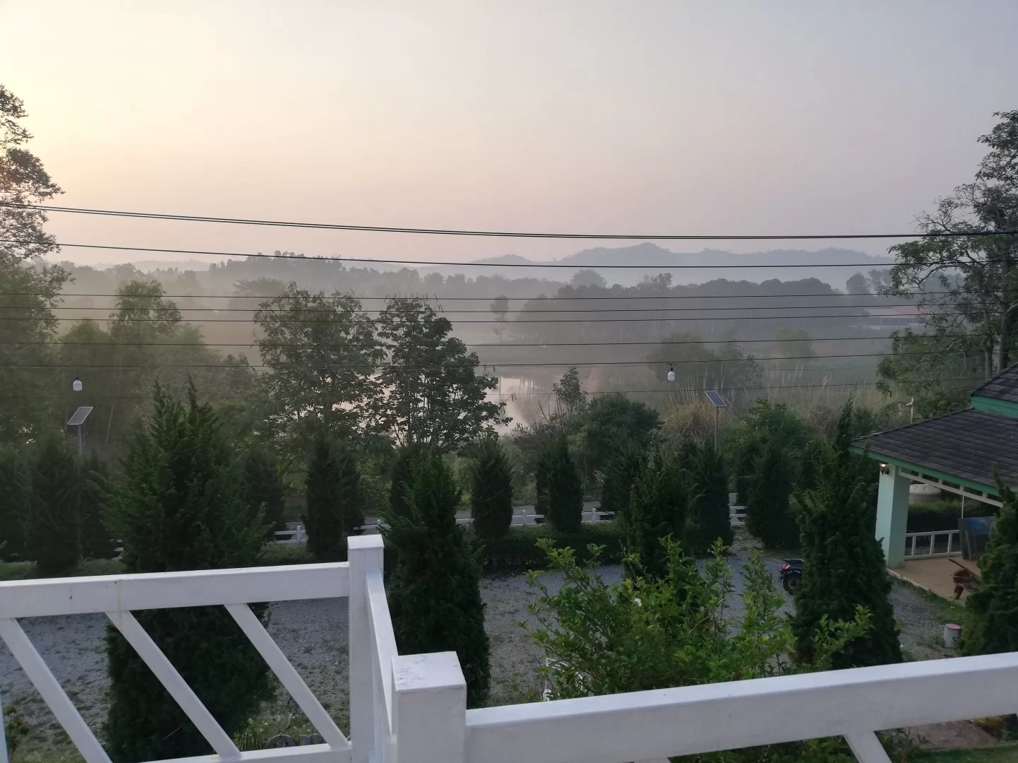 IMG_20230422_062810.webp