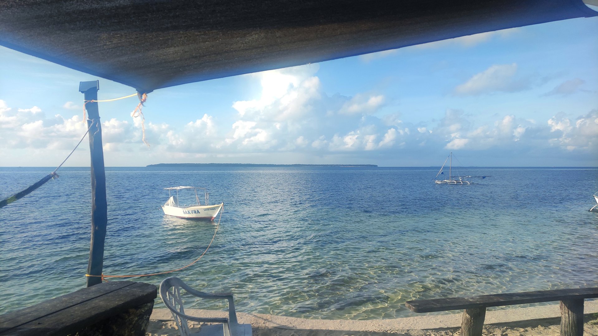 IMG_20230424_063106.jpg