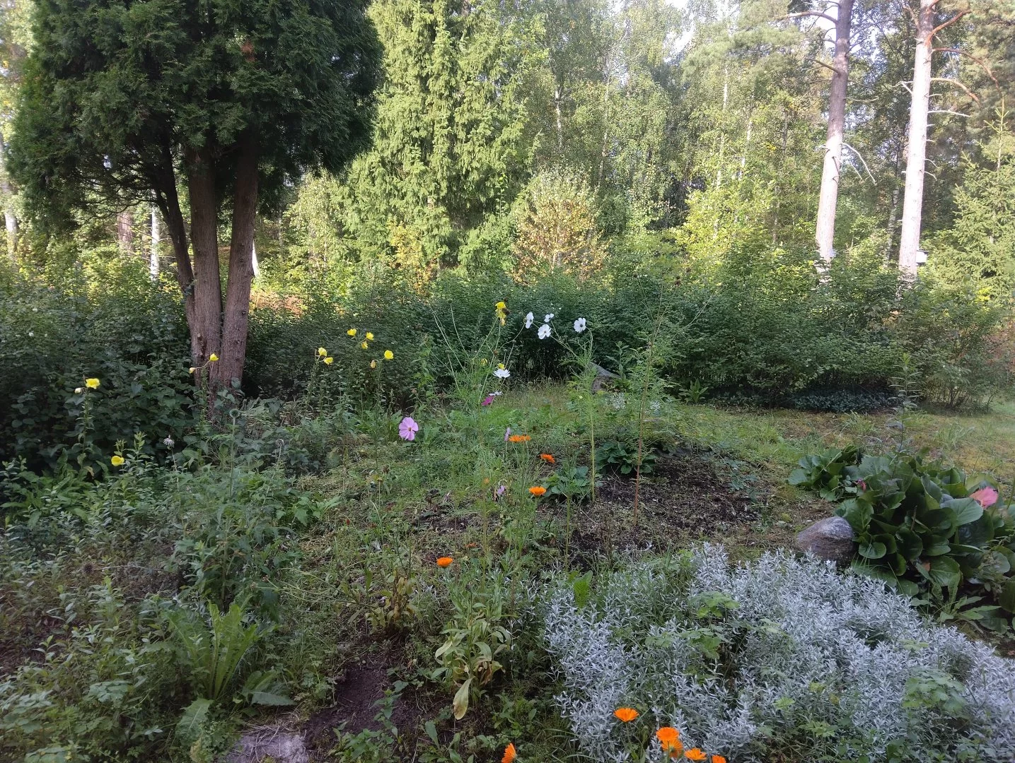 IMG_20230918_094736.webp