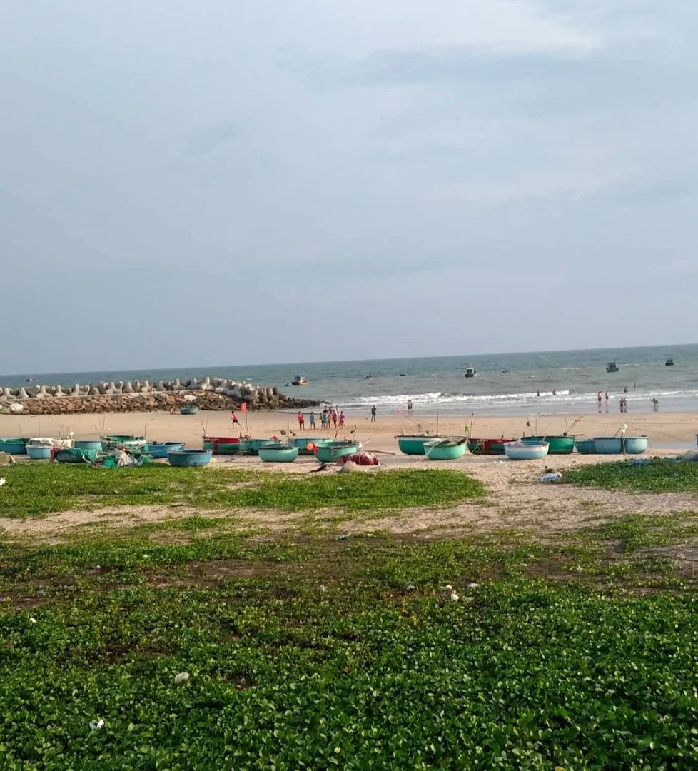 IMG_20231009_010637.webp