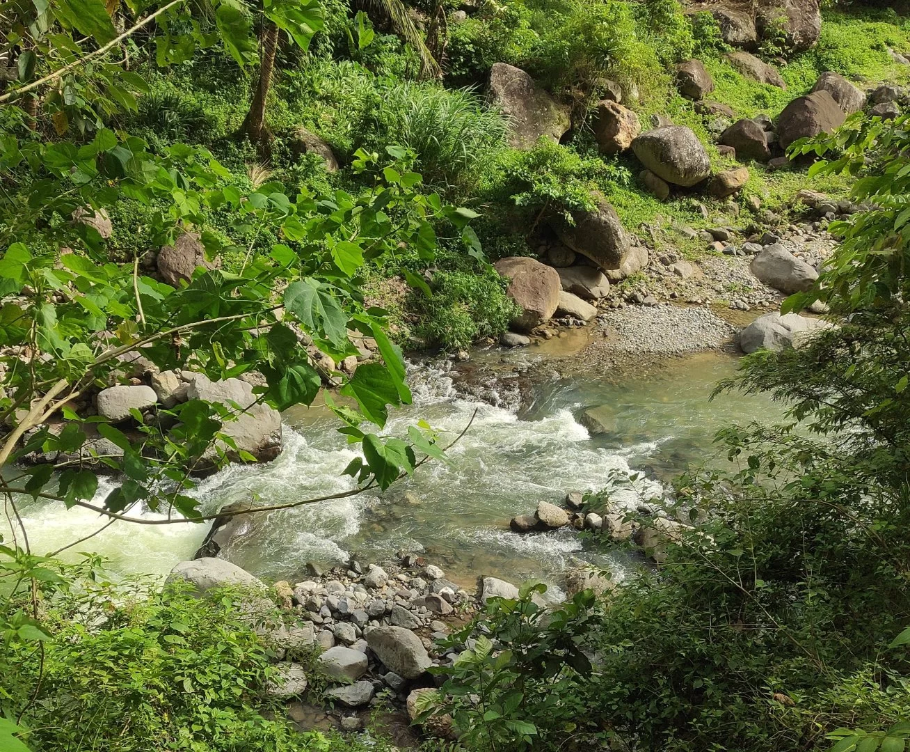 IMG_20231201_170928.webp