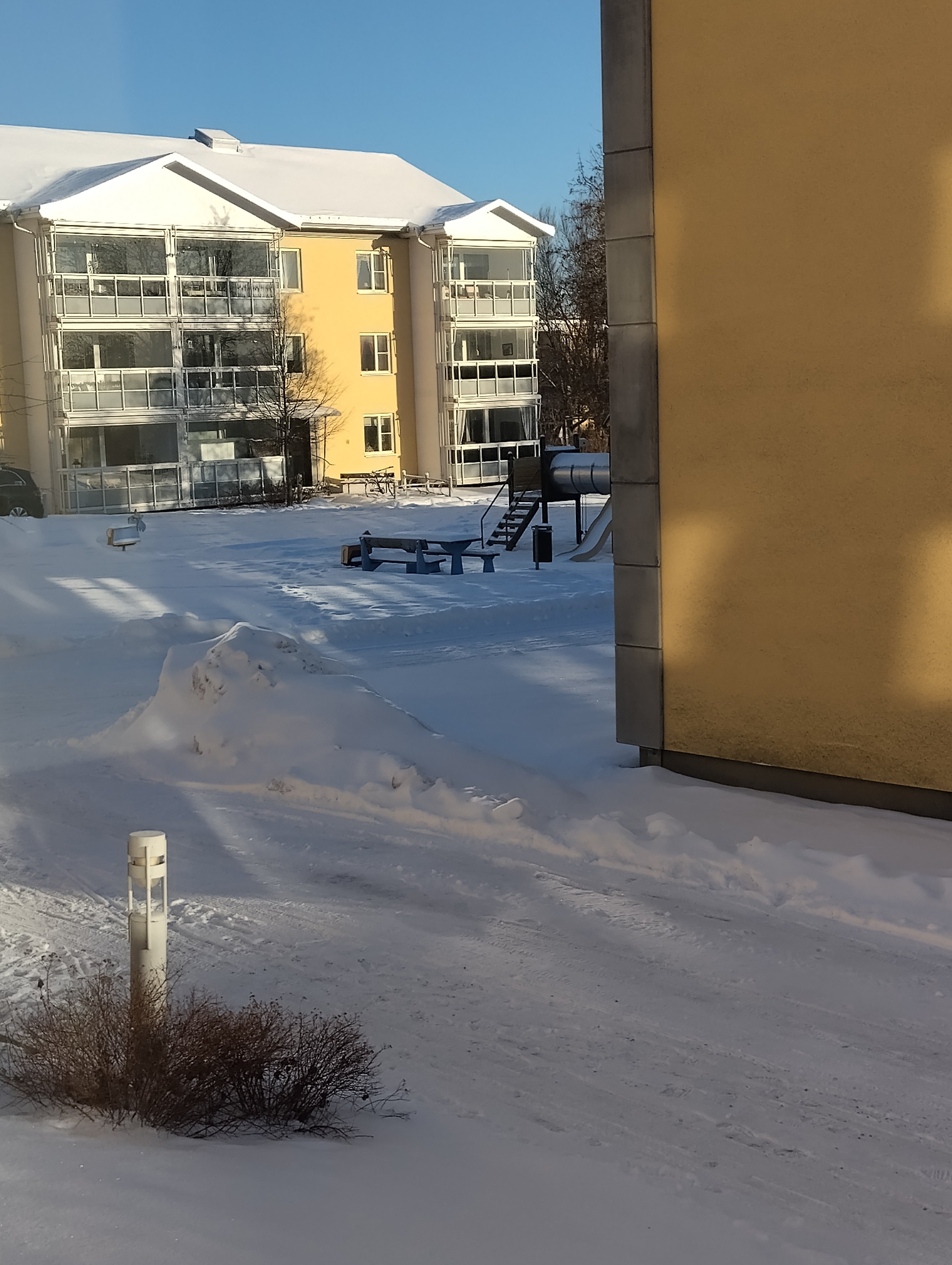 IMG_20240116_110239.jpg