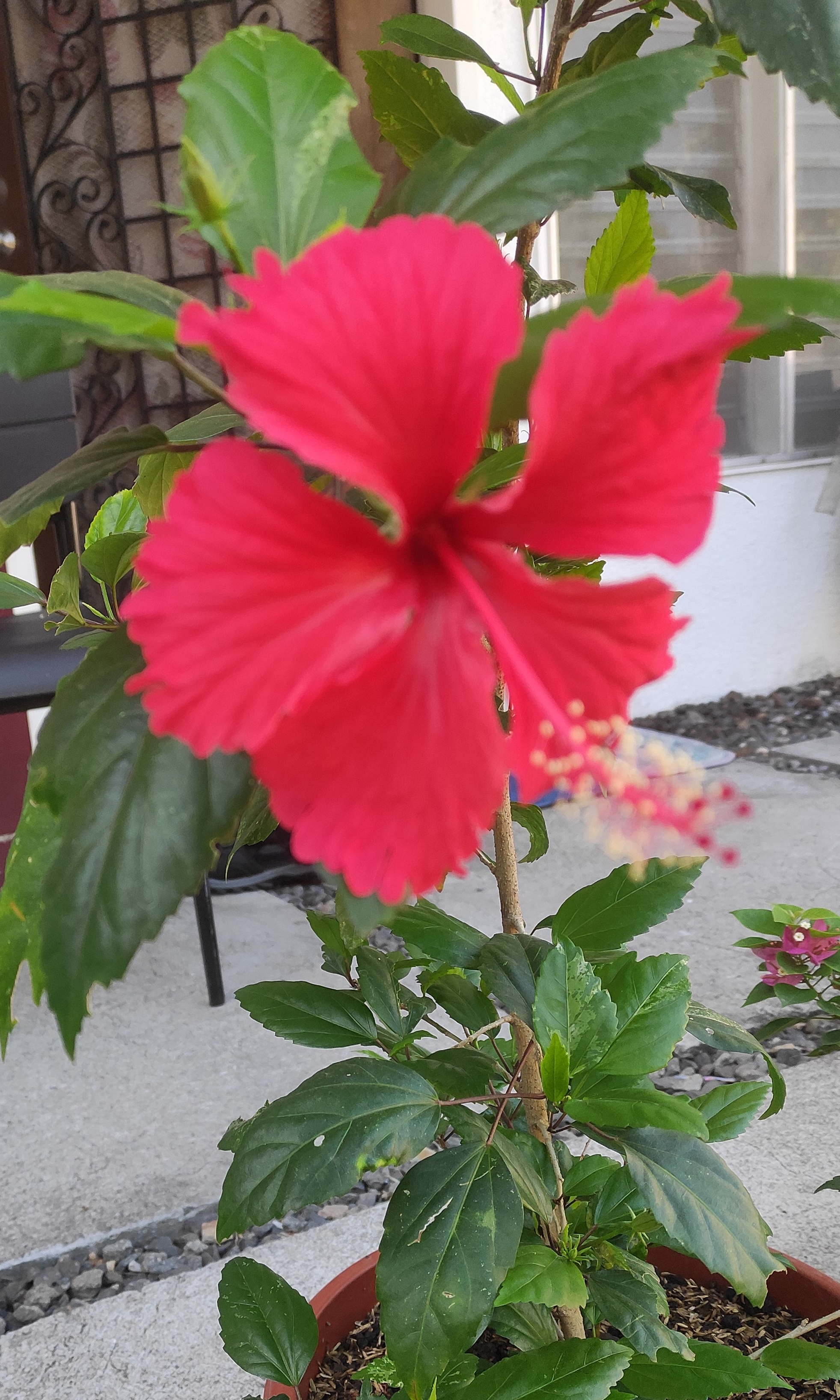 IMG_20240312_085436.jpg