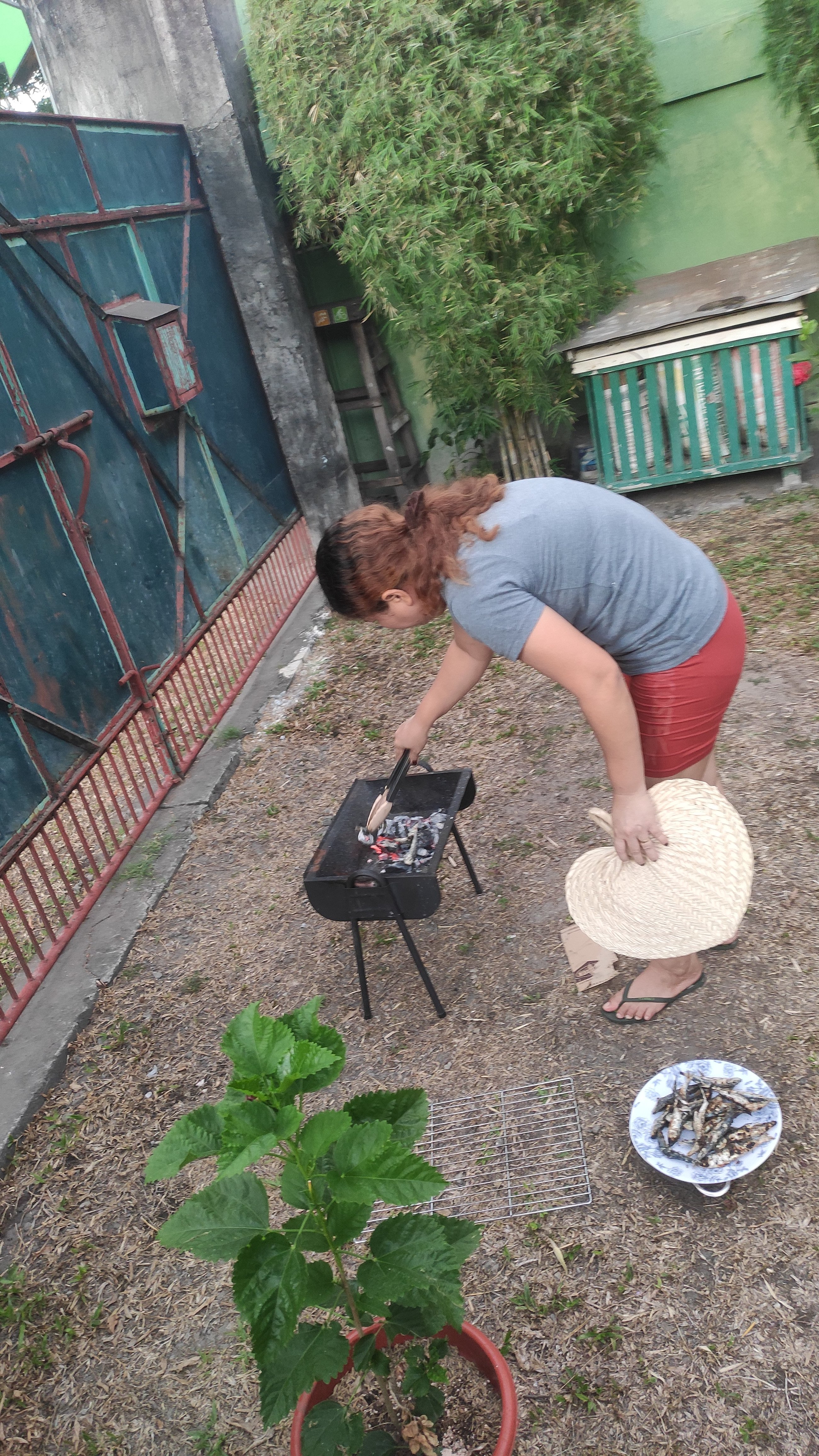IMG_20240411_174939.jpg