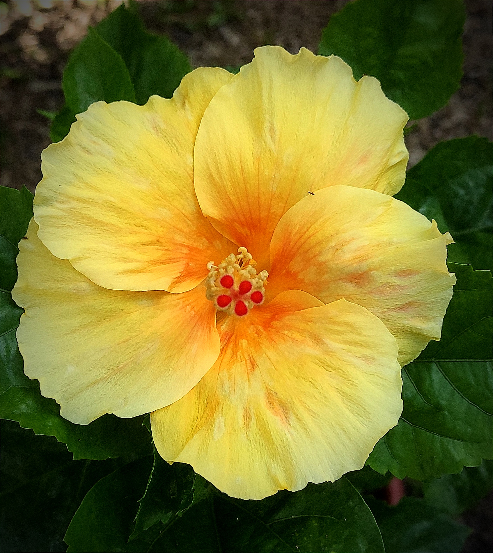 IMG_20240413_084052.jpg