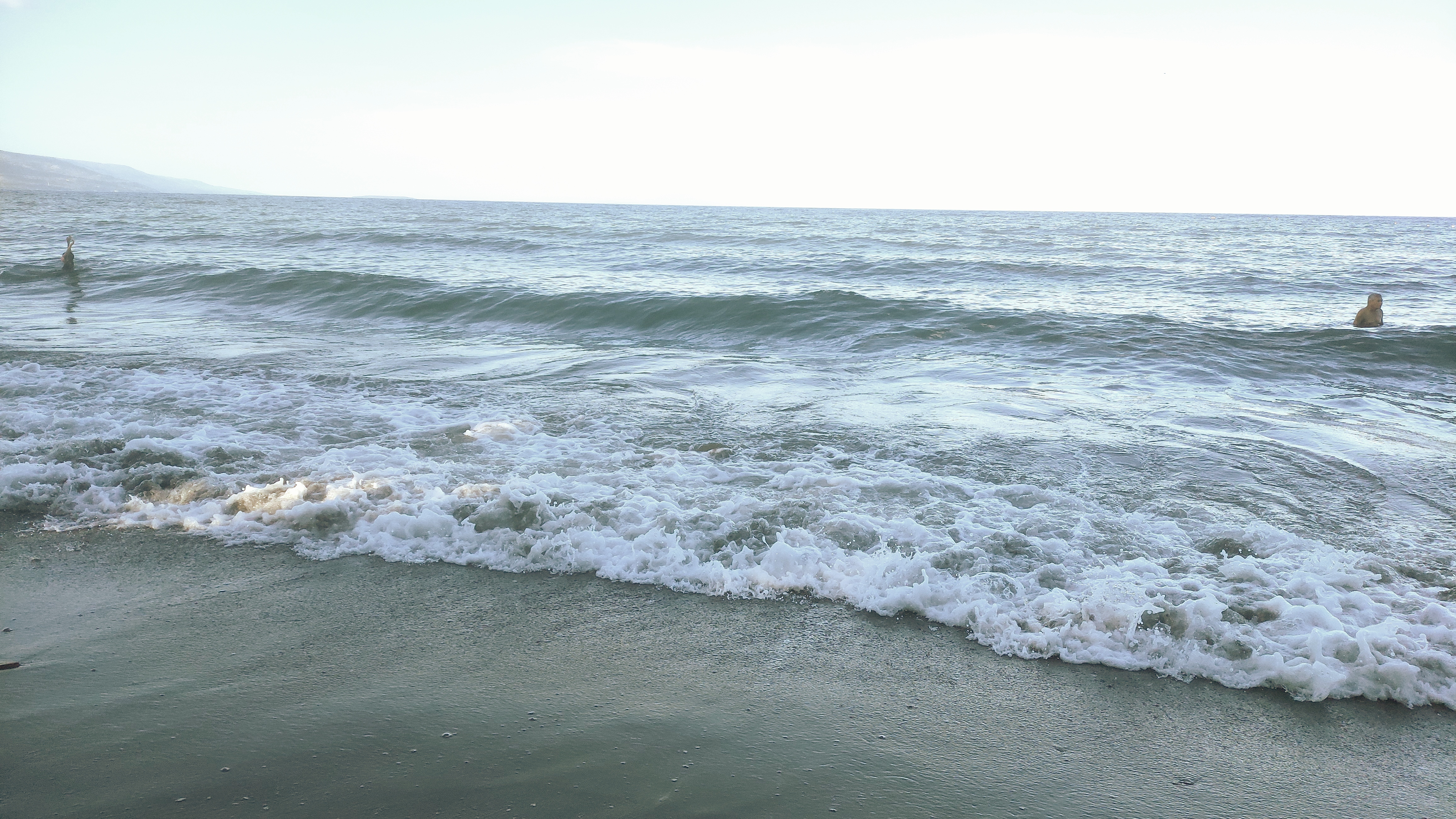 IMG_20240417_173919.jpg