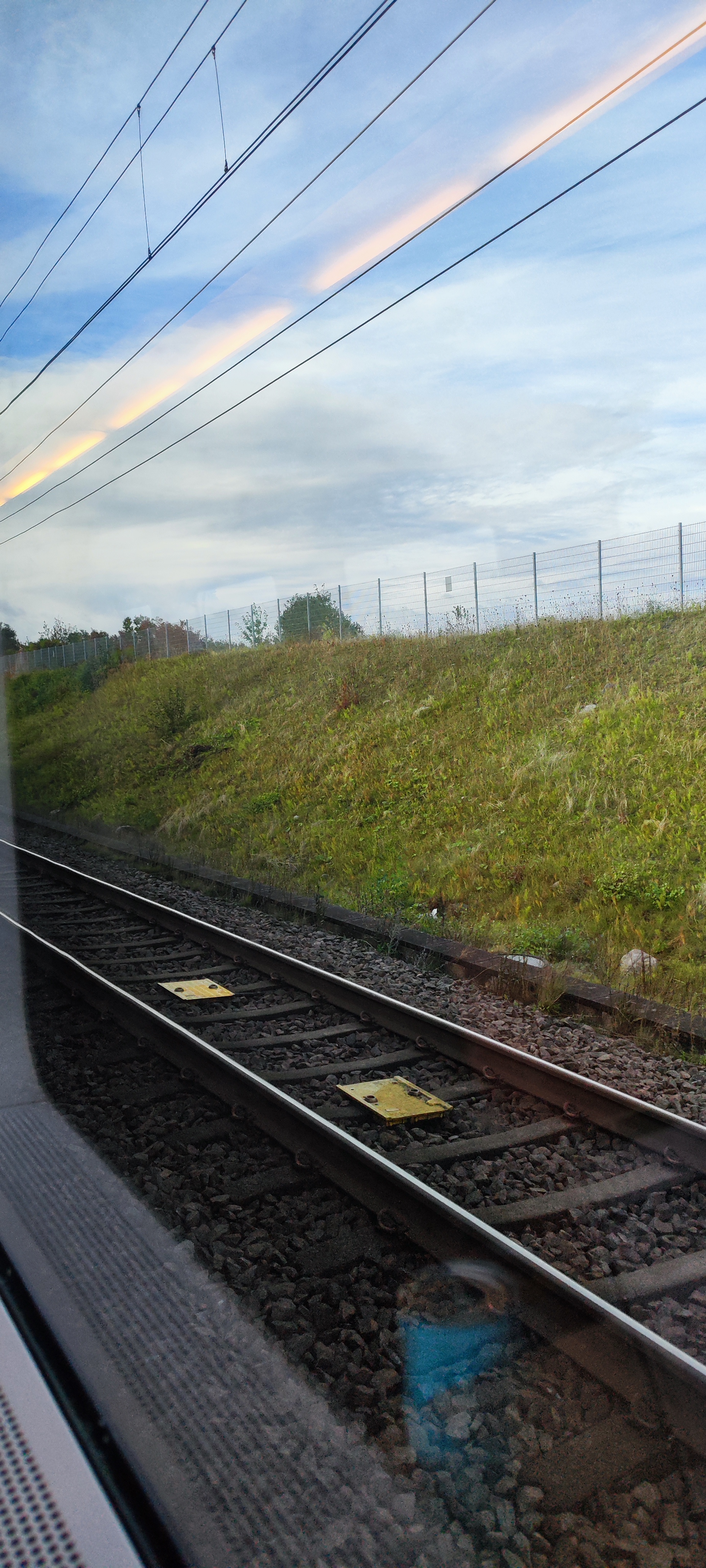 IMG_20240925_083907.jpg