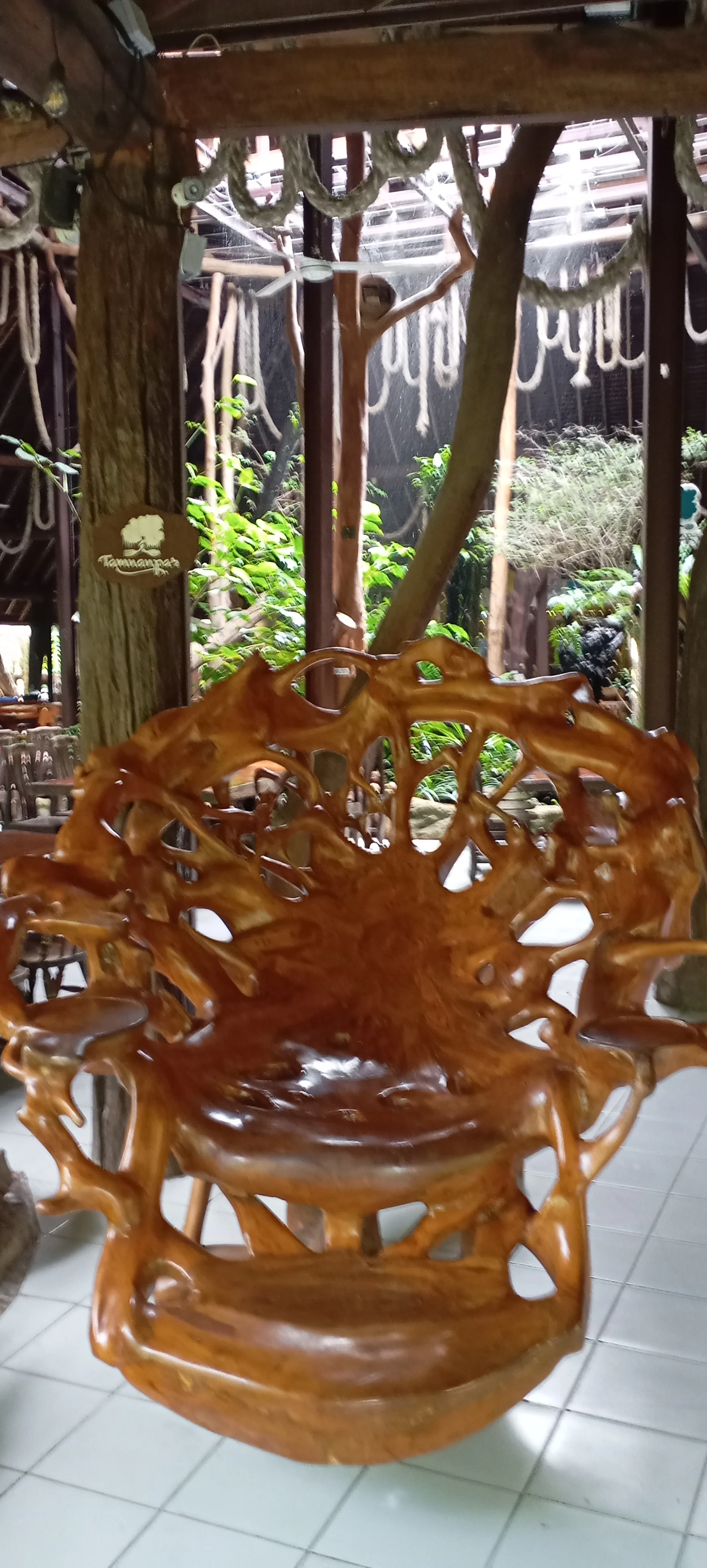 IMG_20250223_110157.webp