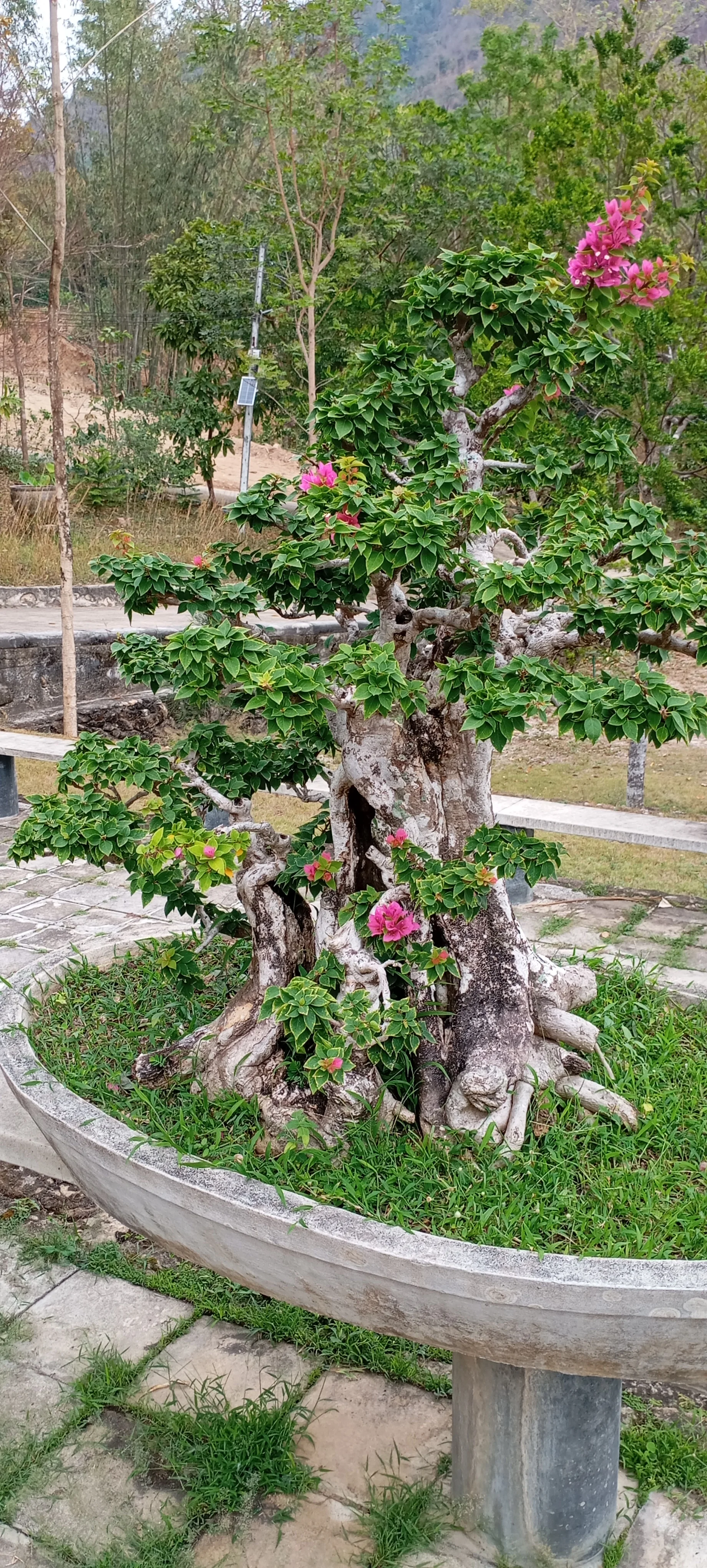 IMG_20250224_135507.webp