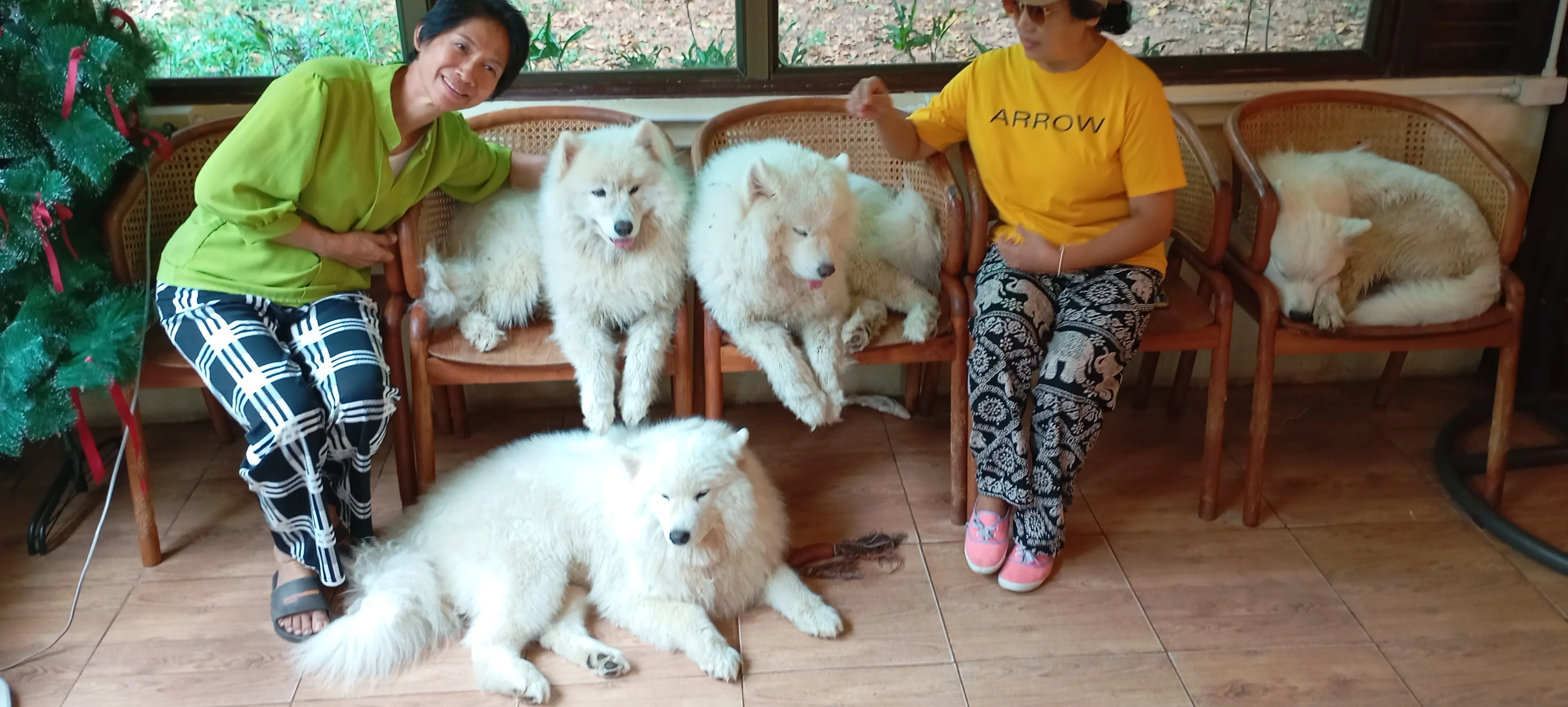 IMG_20250224_145342.webp
