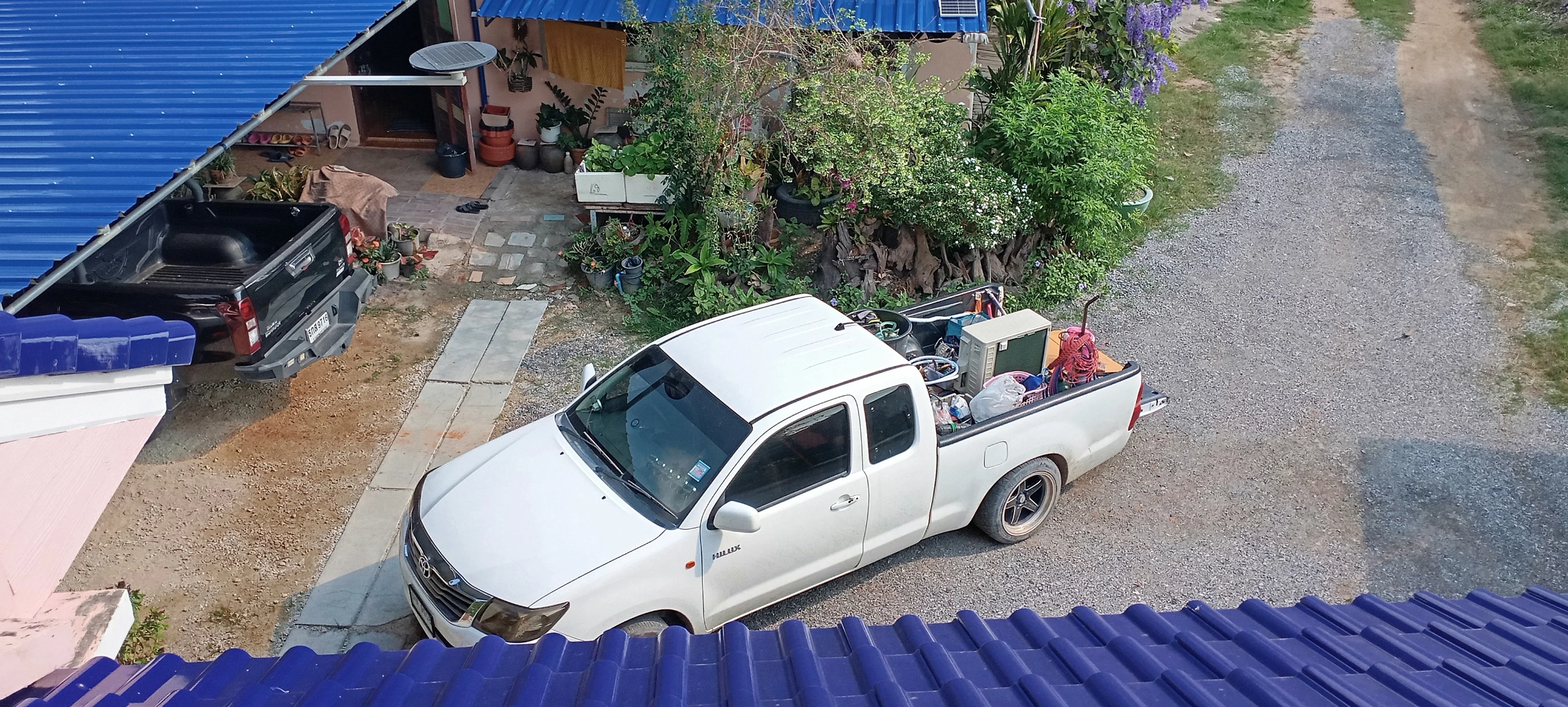 IMG_20250228_093545.webp
