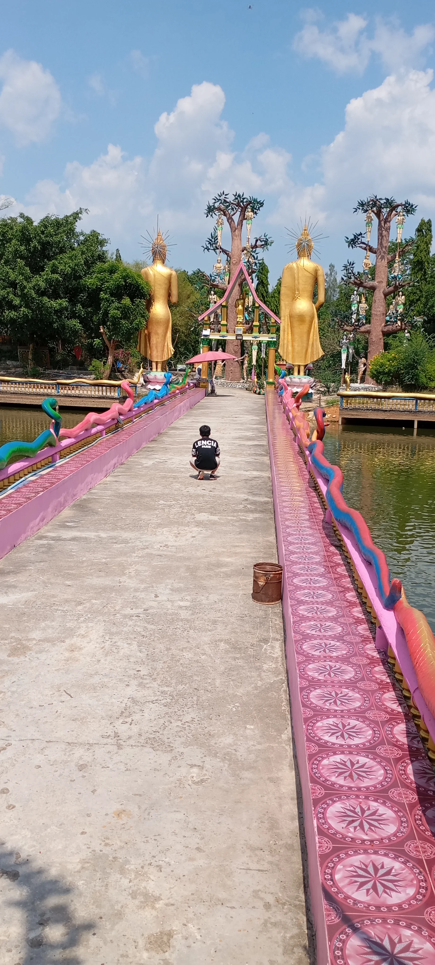 IMG_20250303_134245.webp