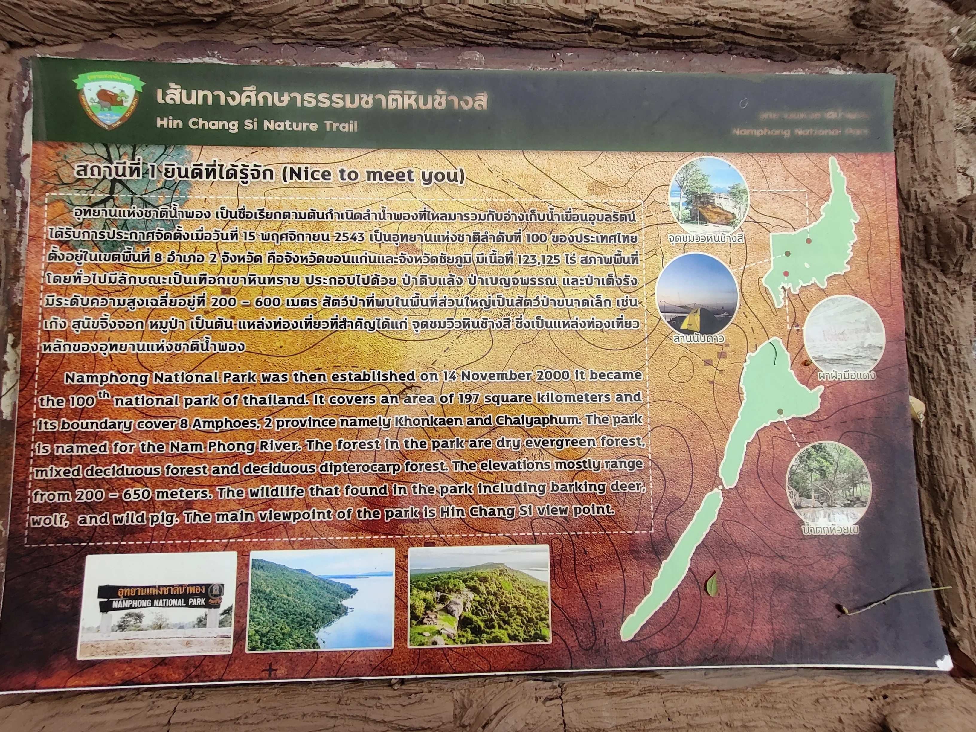IMG_20250330_161940.webp