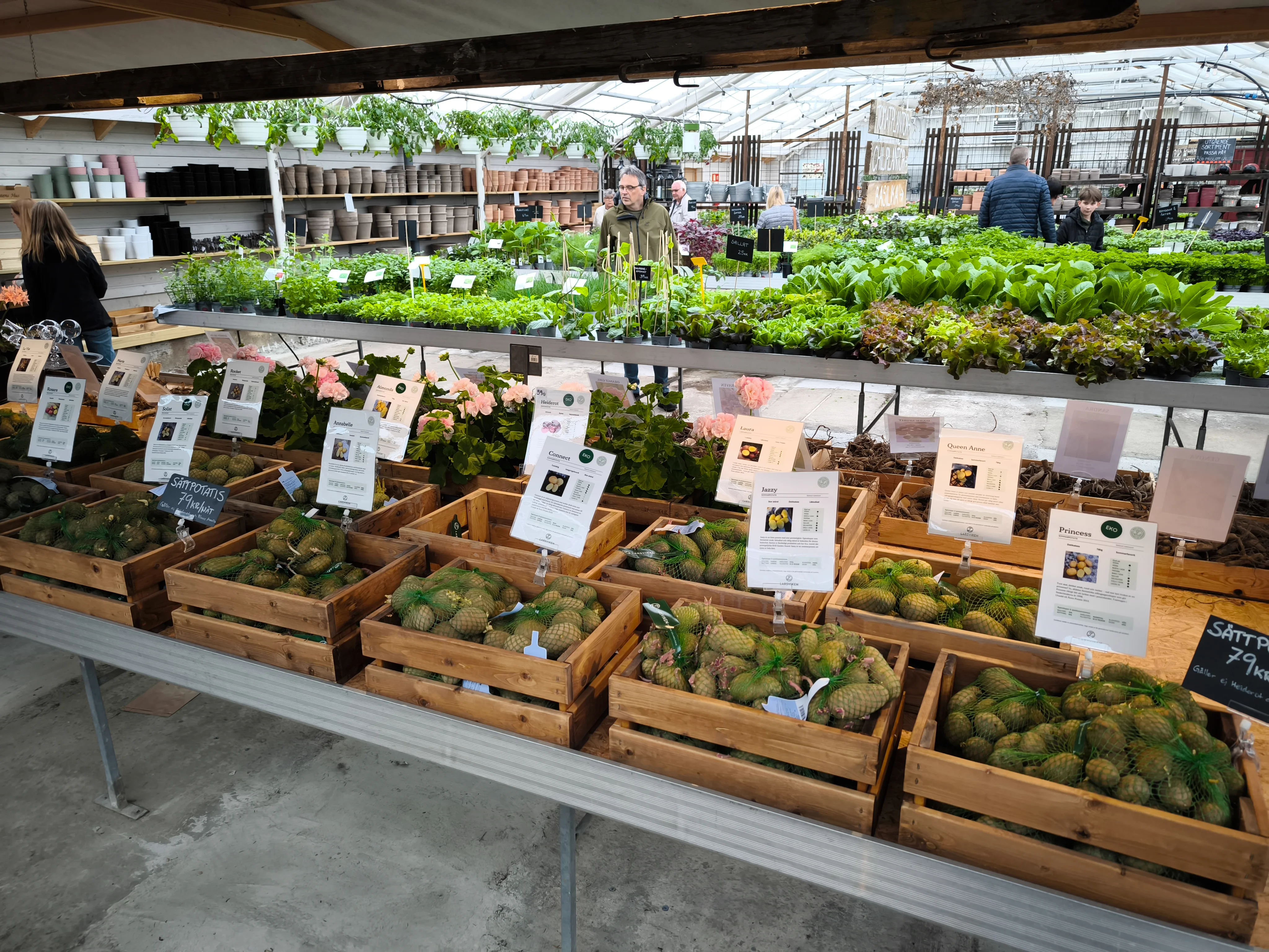 IMG_20250412_115648.webp