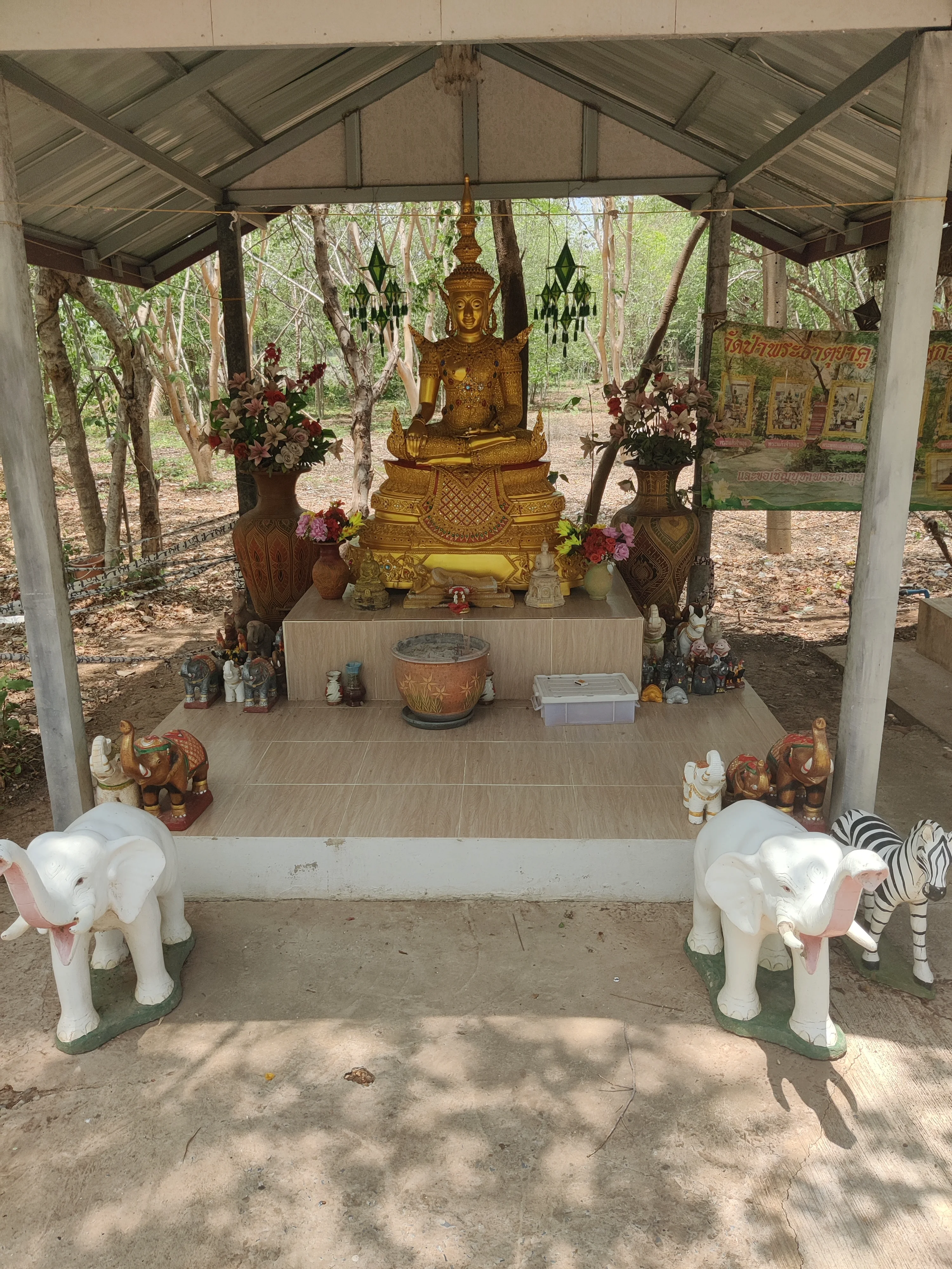 IMG_20250416_114347.webp