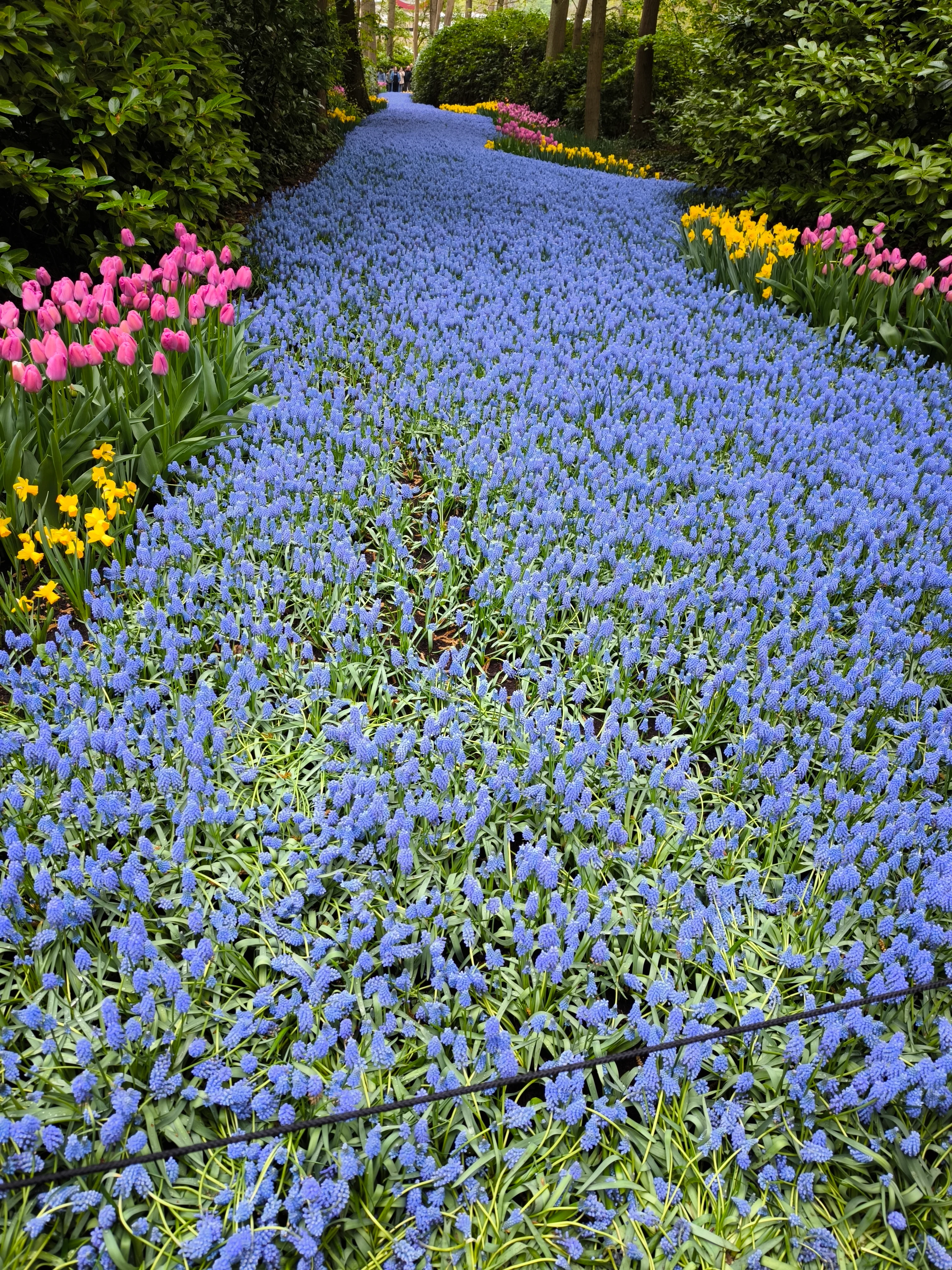 IMG_20250422_115733.webp