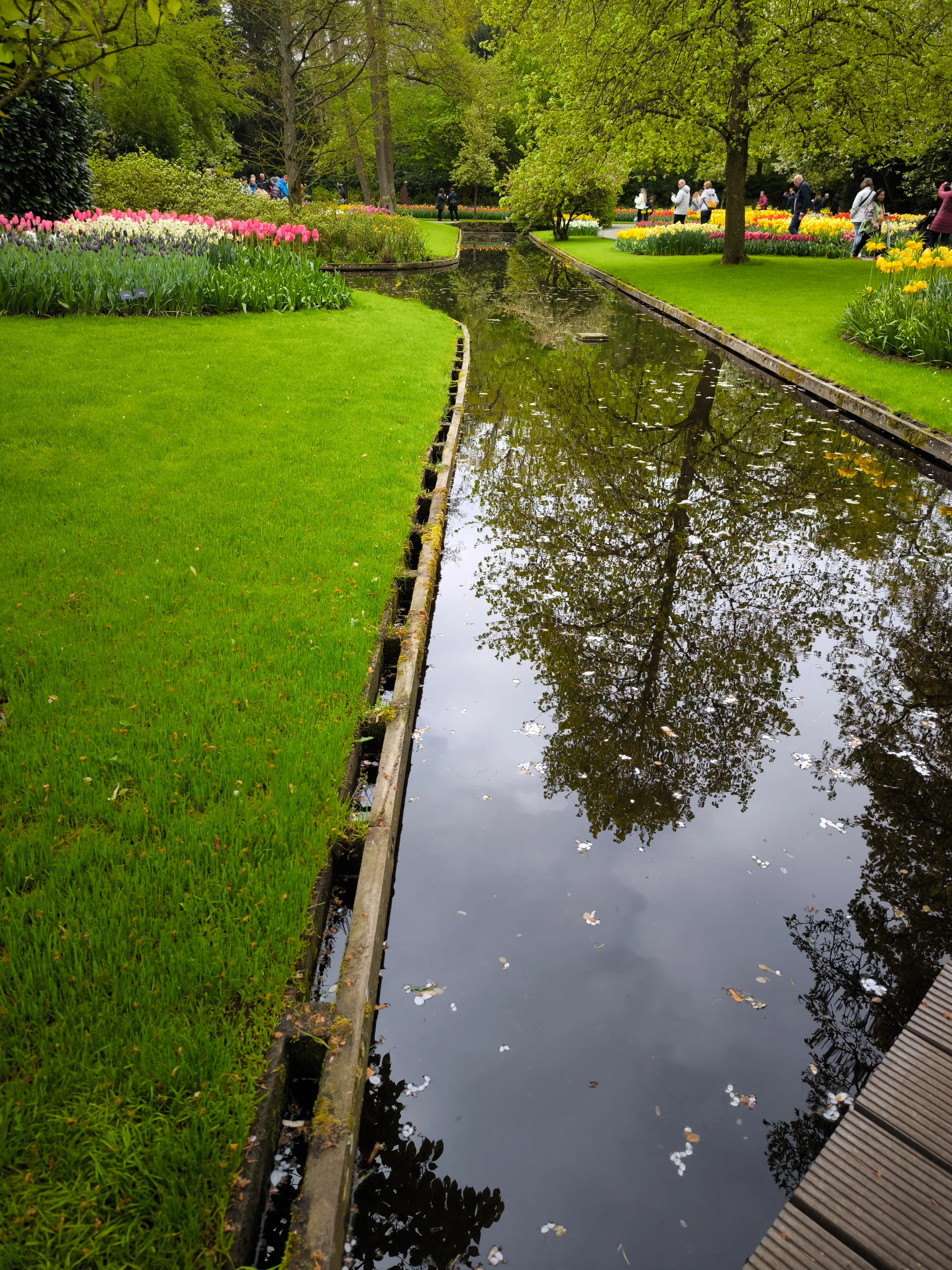 IMG_20250422_120134.webp