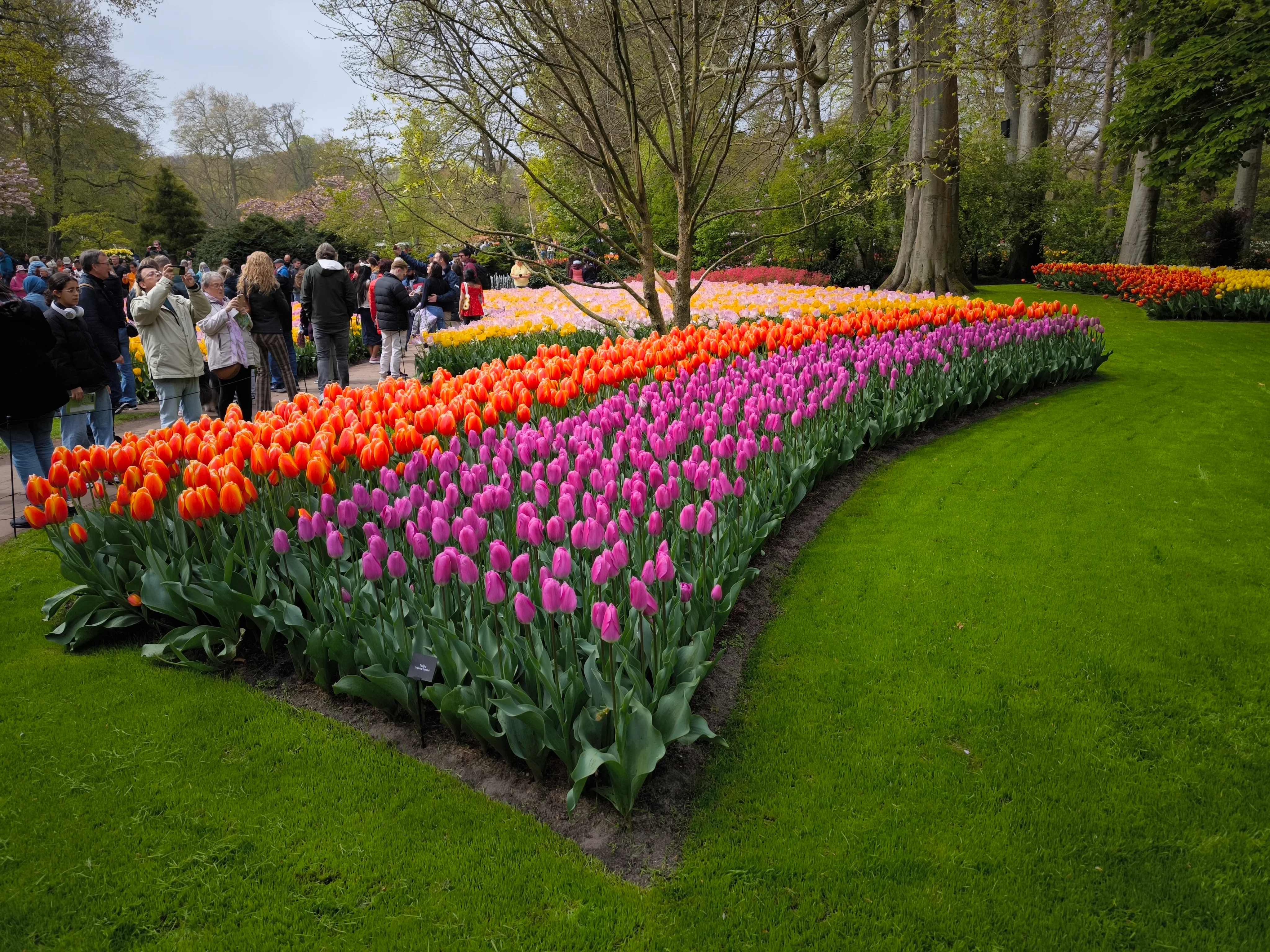 IMG_20250422_120649.webp