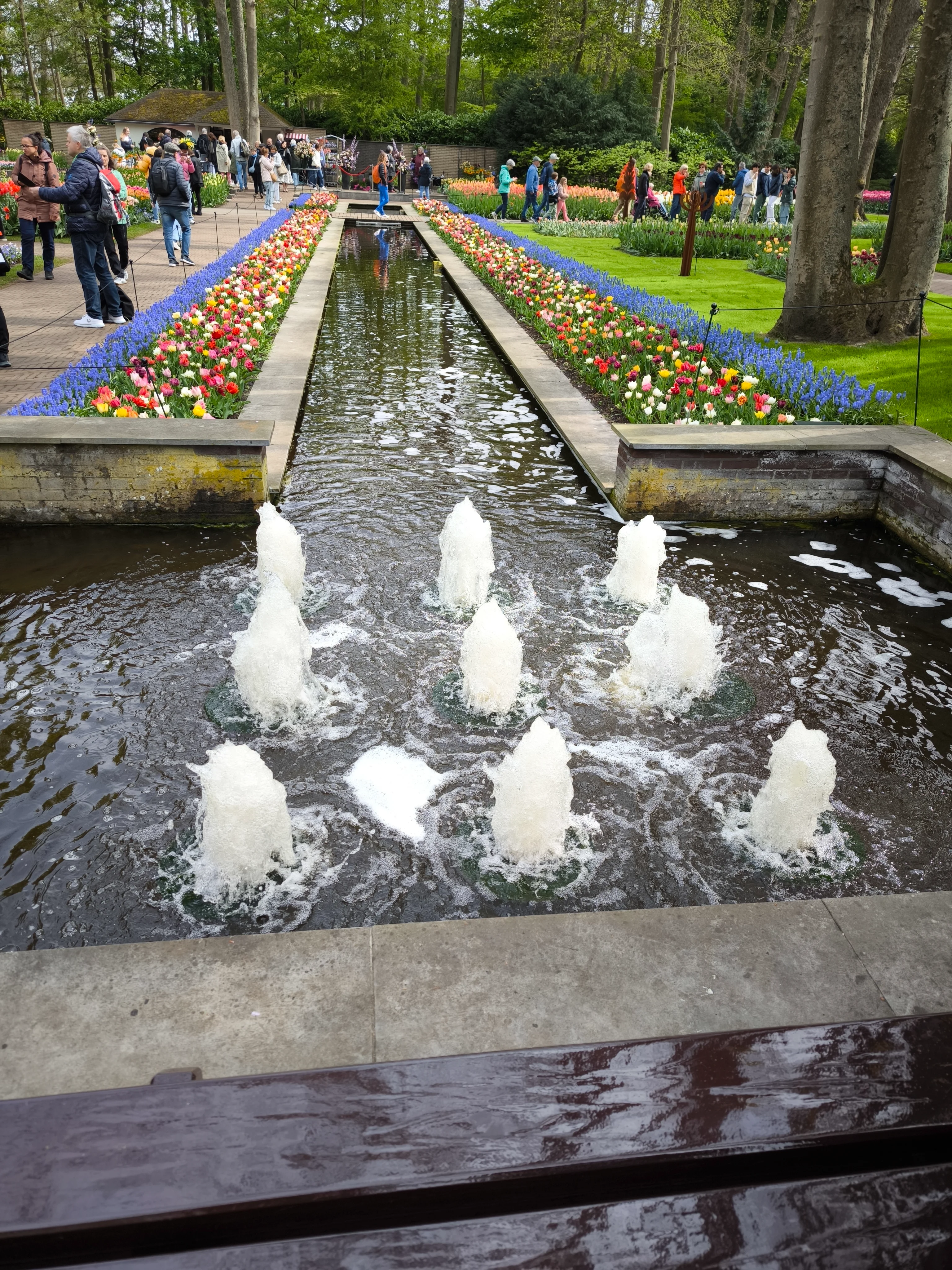 IMG_20250422_120704.webp