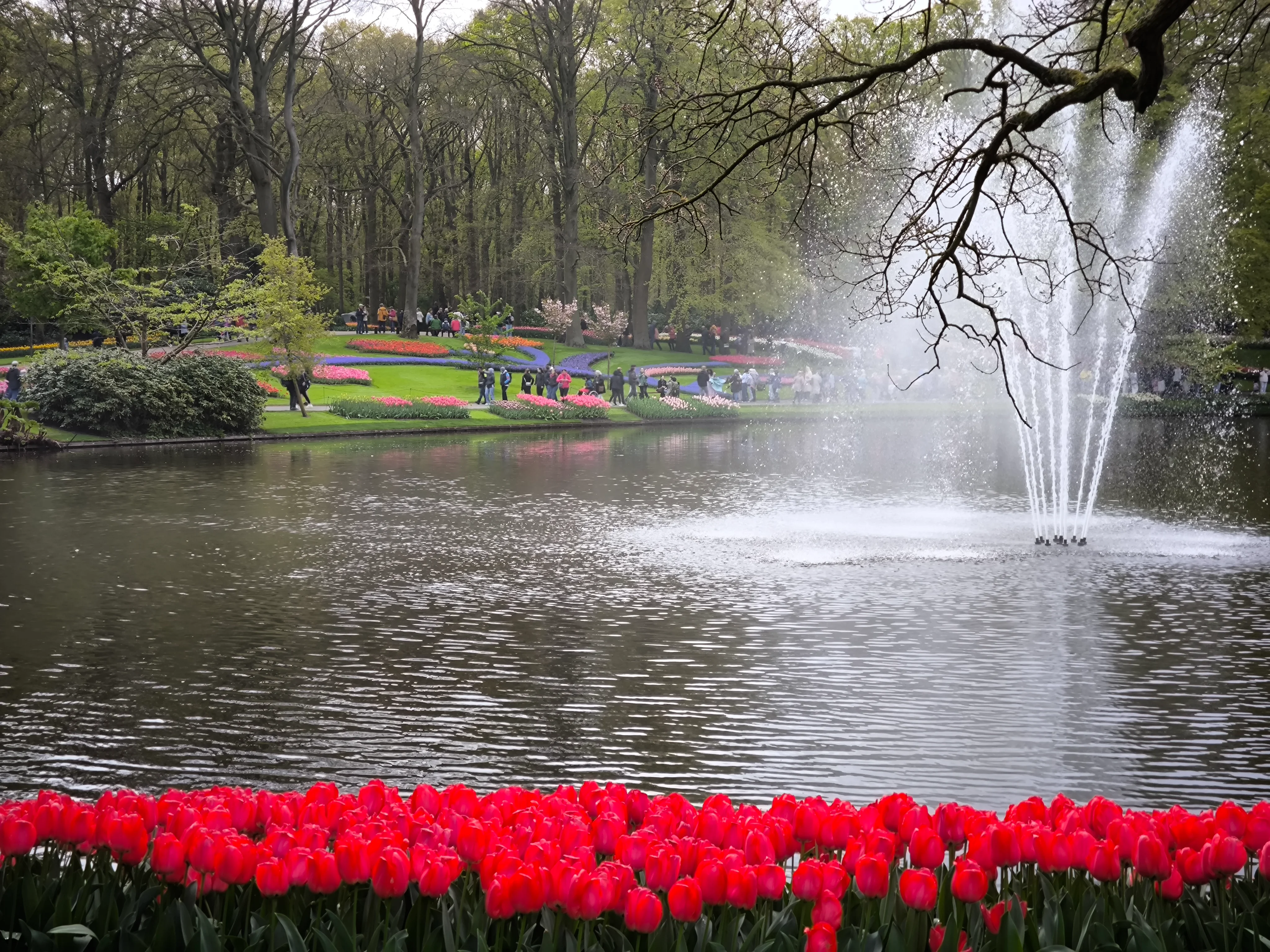 IMG_20250422_120928.webp