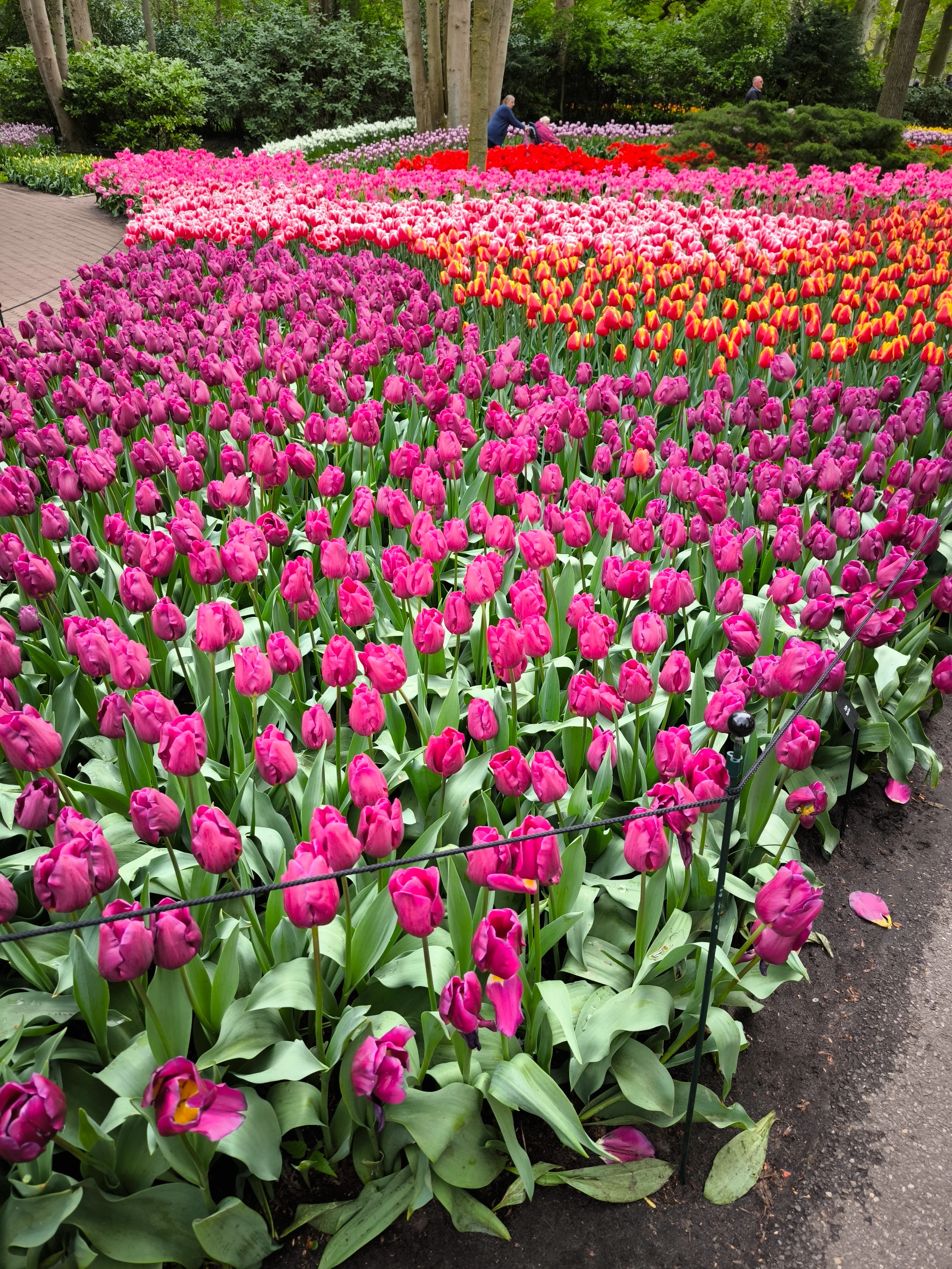 IMG_20250422_121054.webp