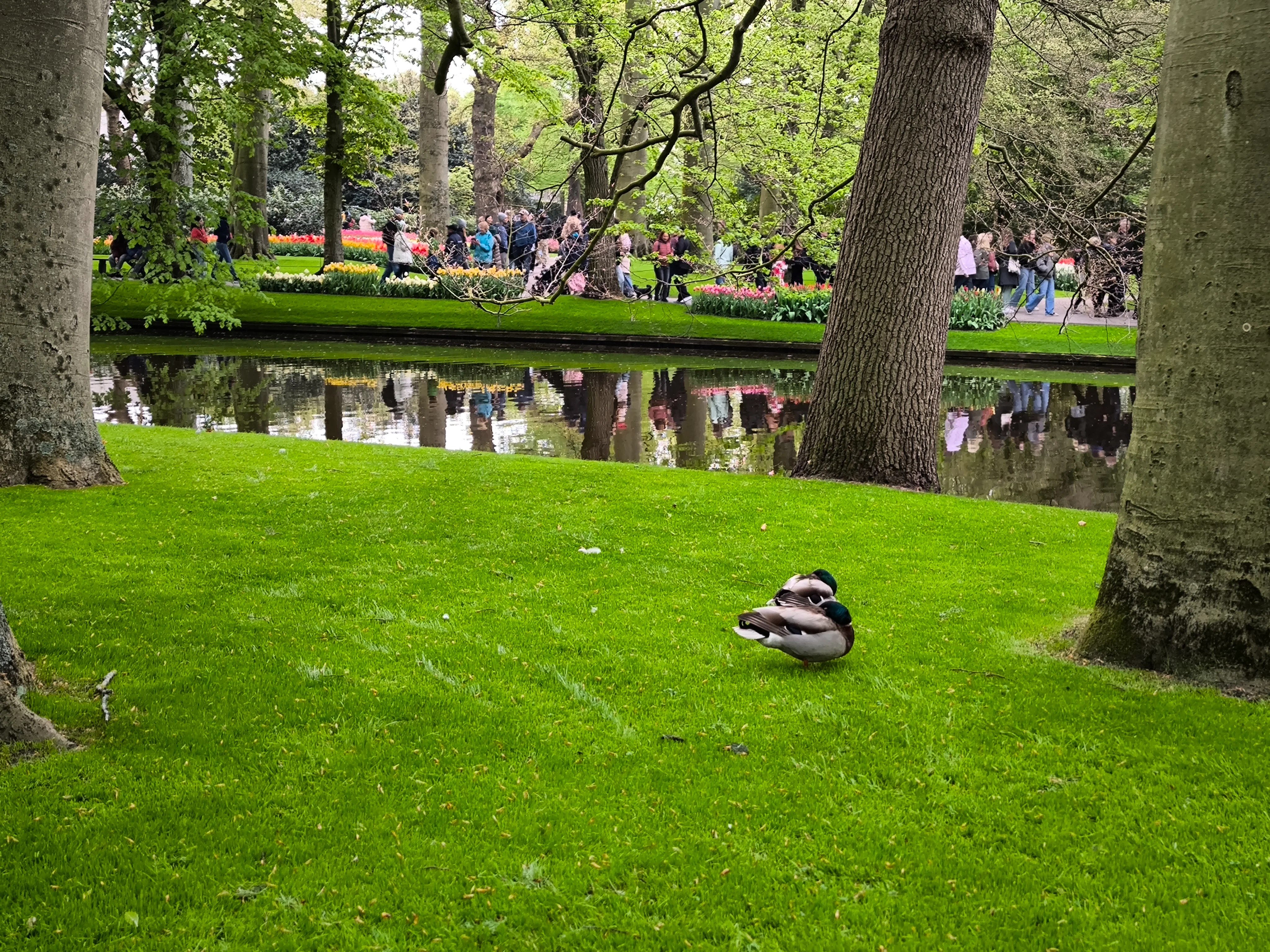 IMG_20250422_121230.webp