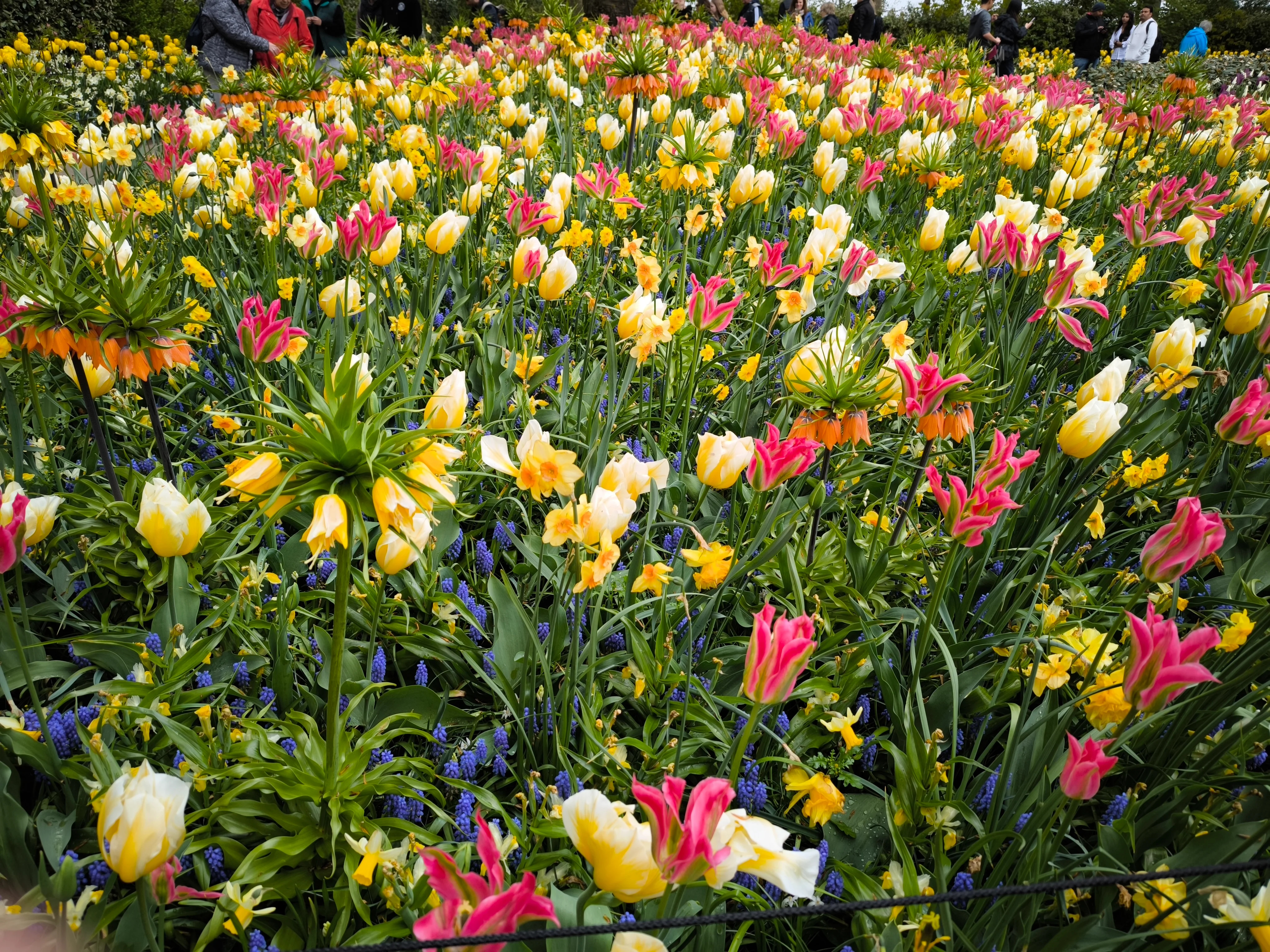 IMG_20250422_122635.webp