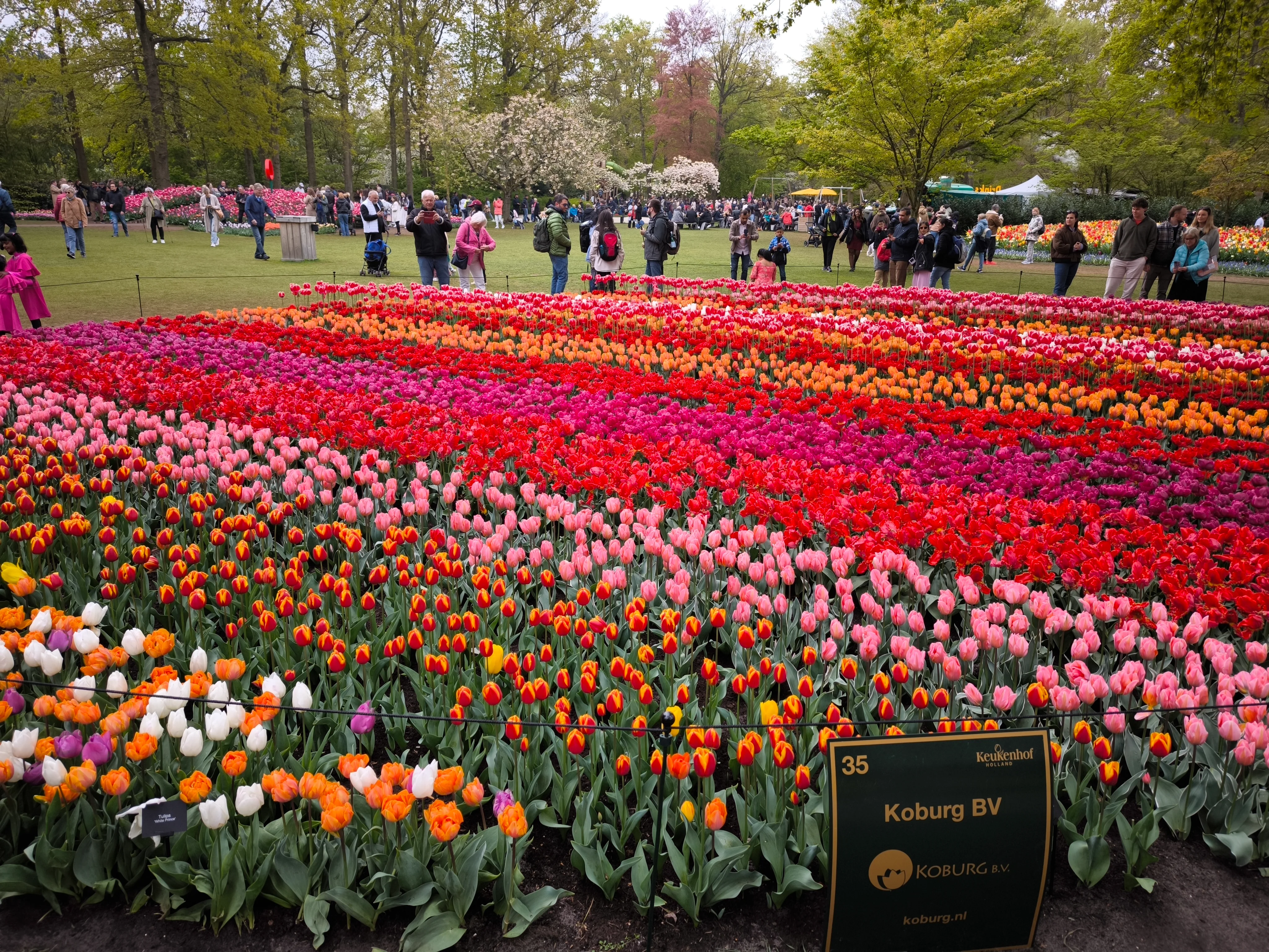 IMG_20250422_123400.webp