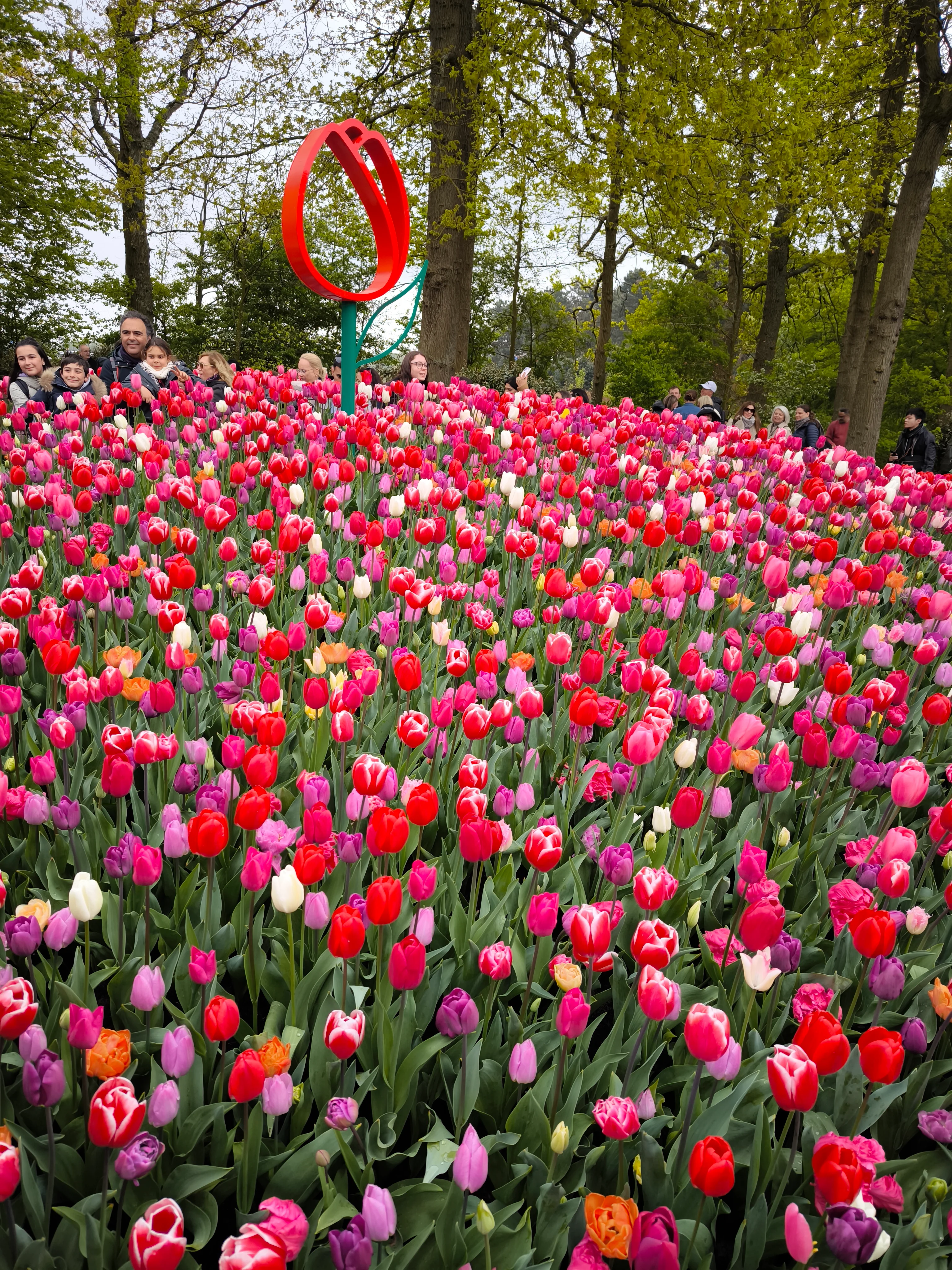 IMG_20250422_123530.webp