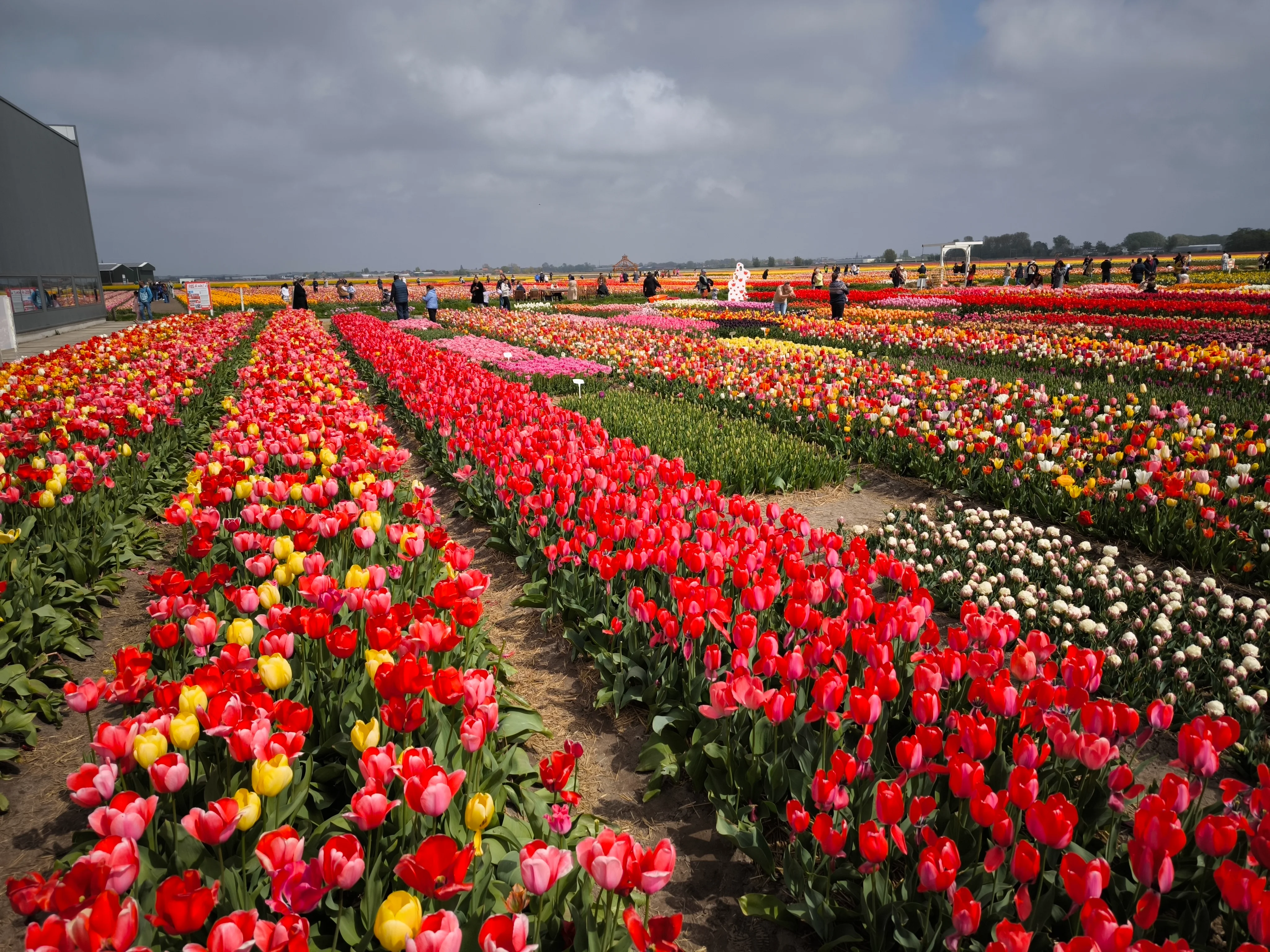 IMG_20250422_140044.webp