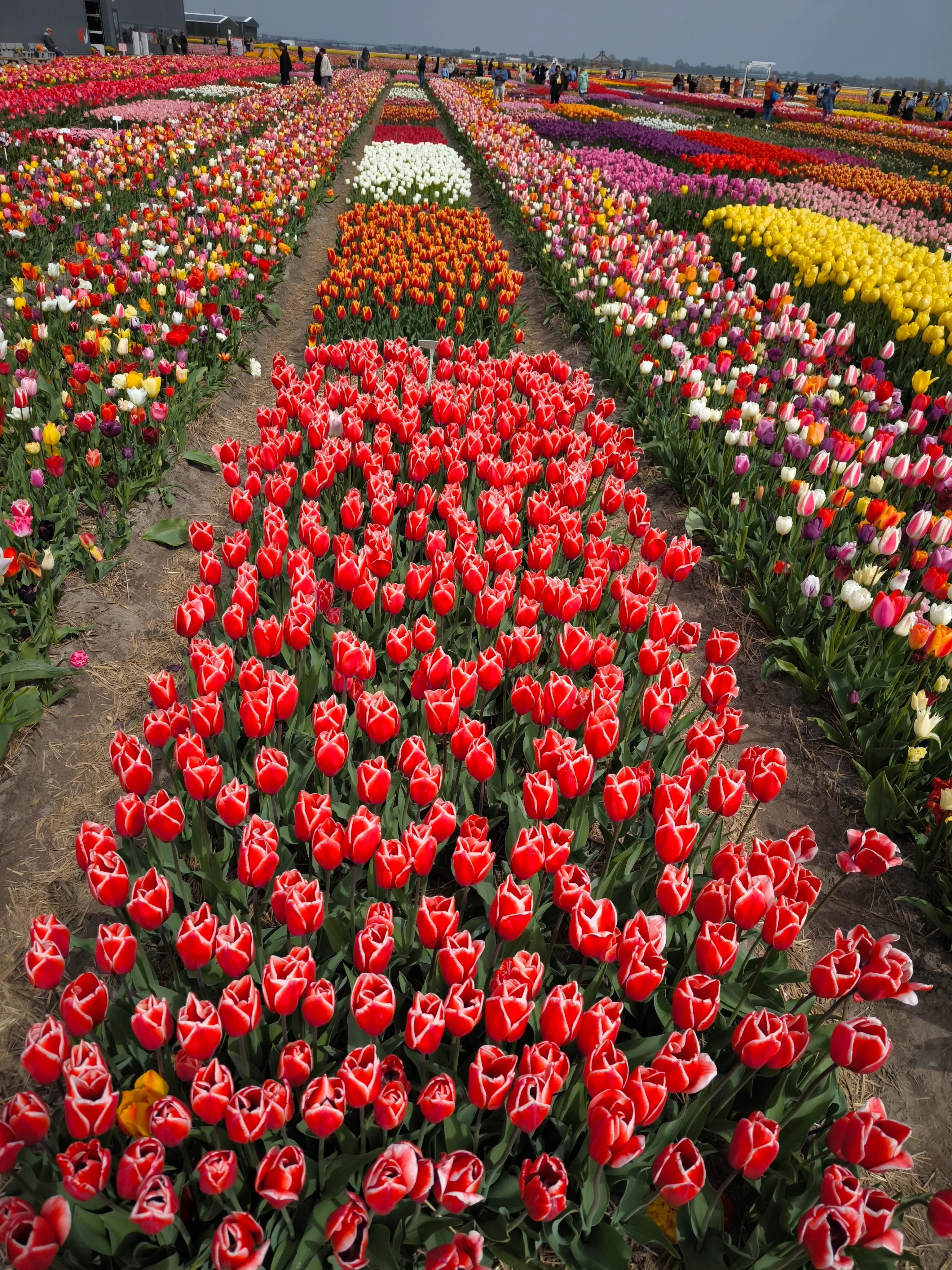 IMG_20250422_140212.webp