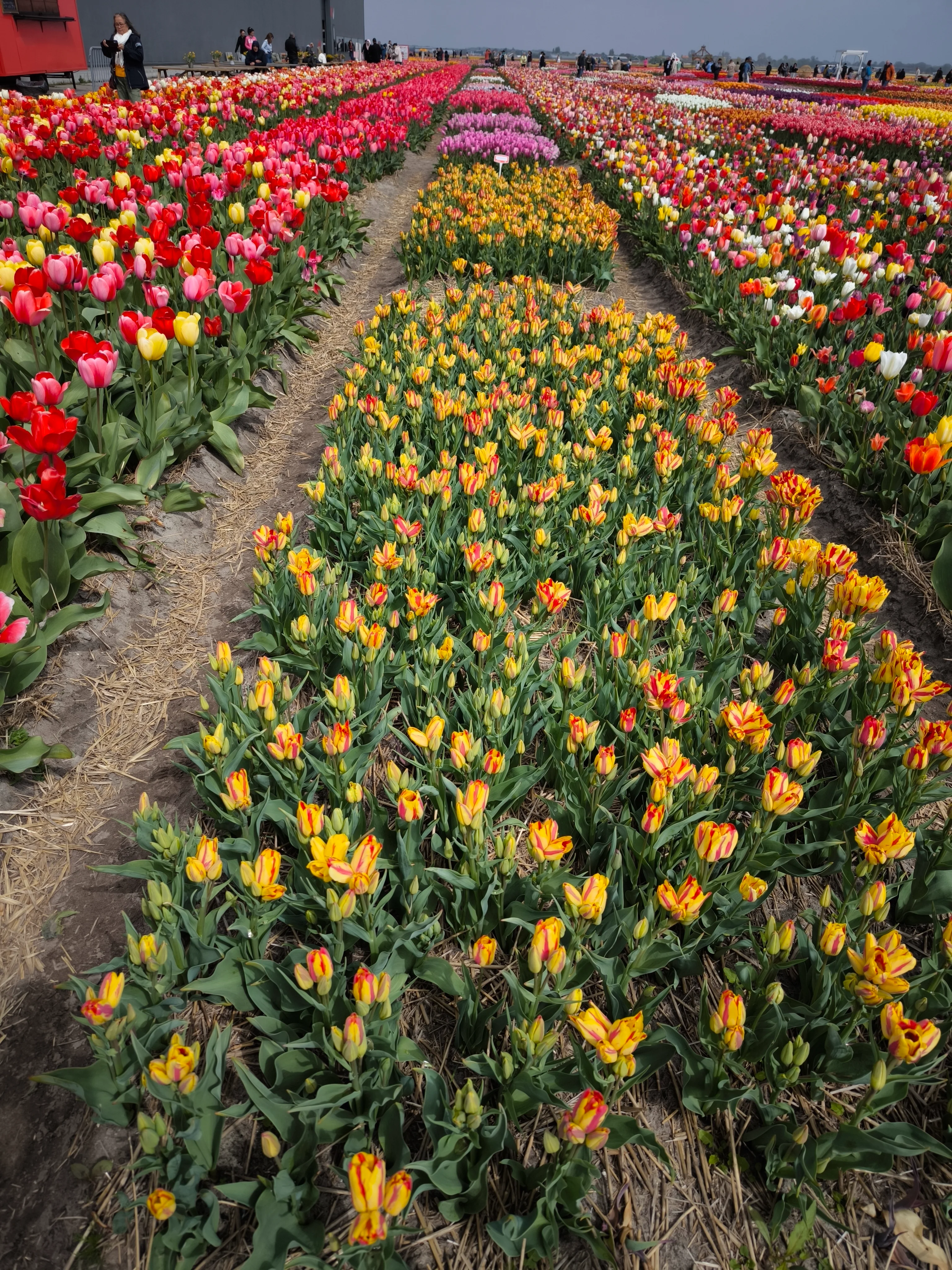 IMG_20250422_140327.webp