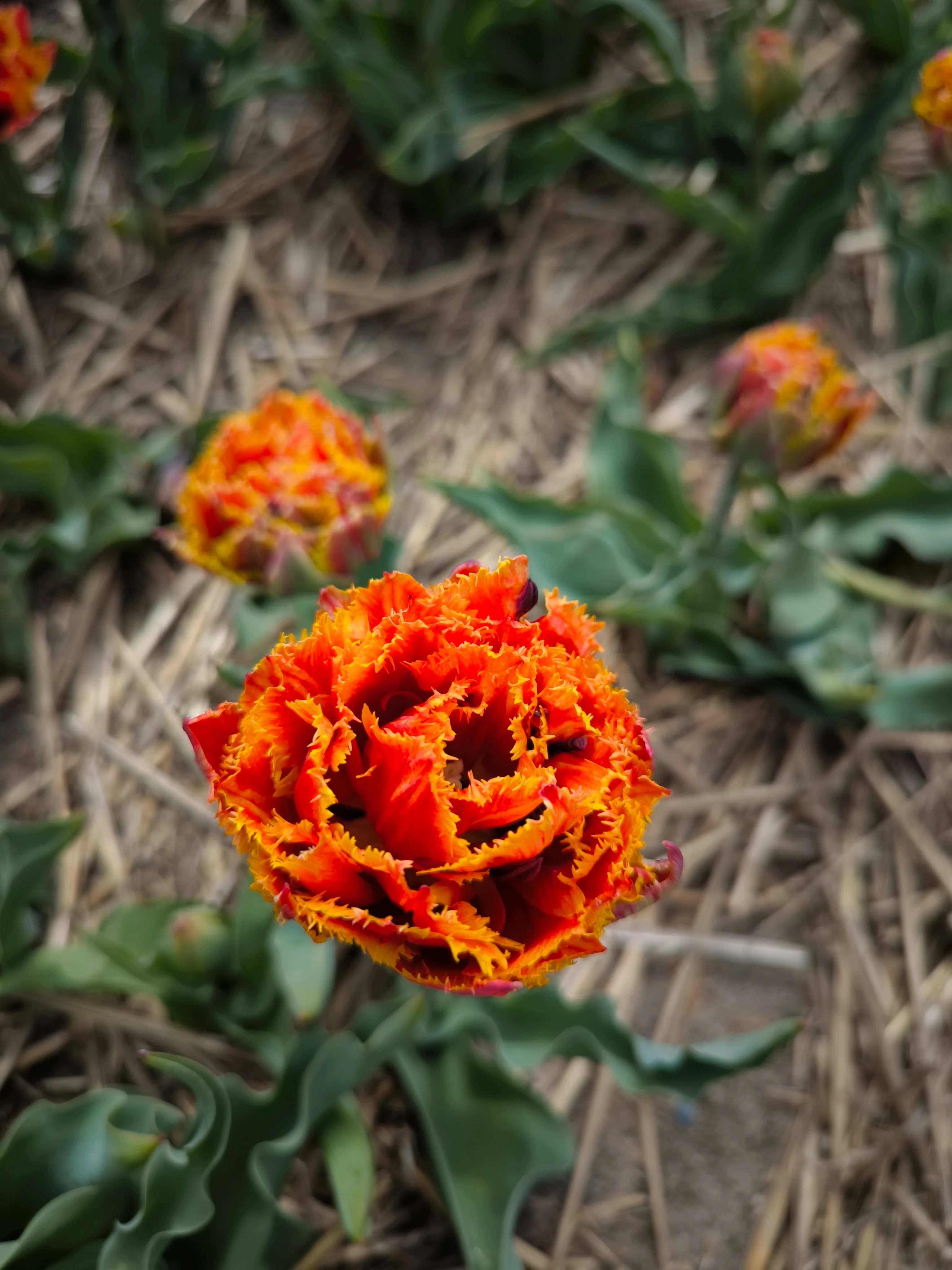 IMG_20250422_140334.webp